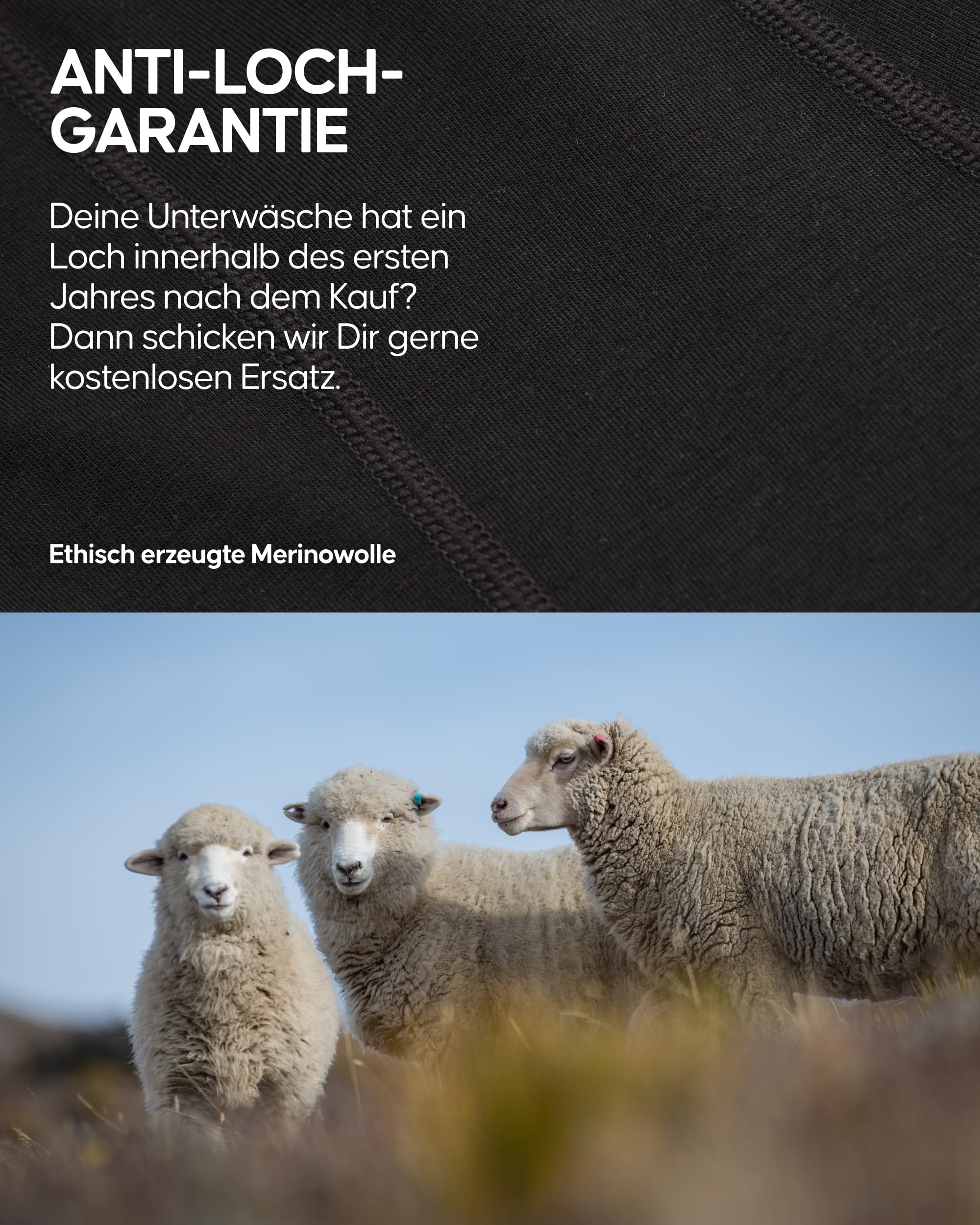 DANISH ENDURANCE Merino Boxershorts Herren (2er Pack), Merino Unterwäsche Herren, Sport & Outdoor, Geruchsfreie Unterhosen Männer, Schweißableitend & Atmungsaktiv, Mit oder ohne Eingriff