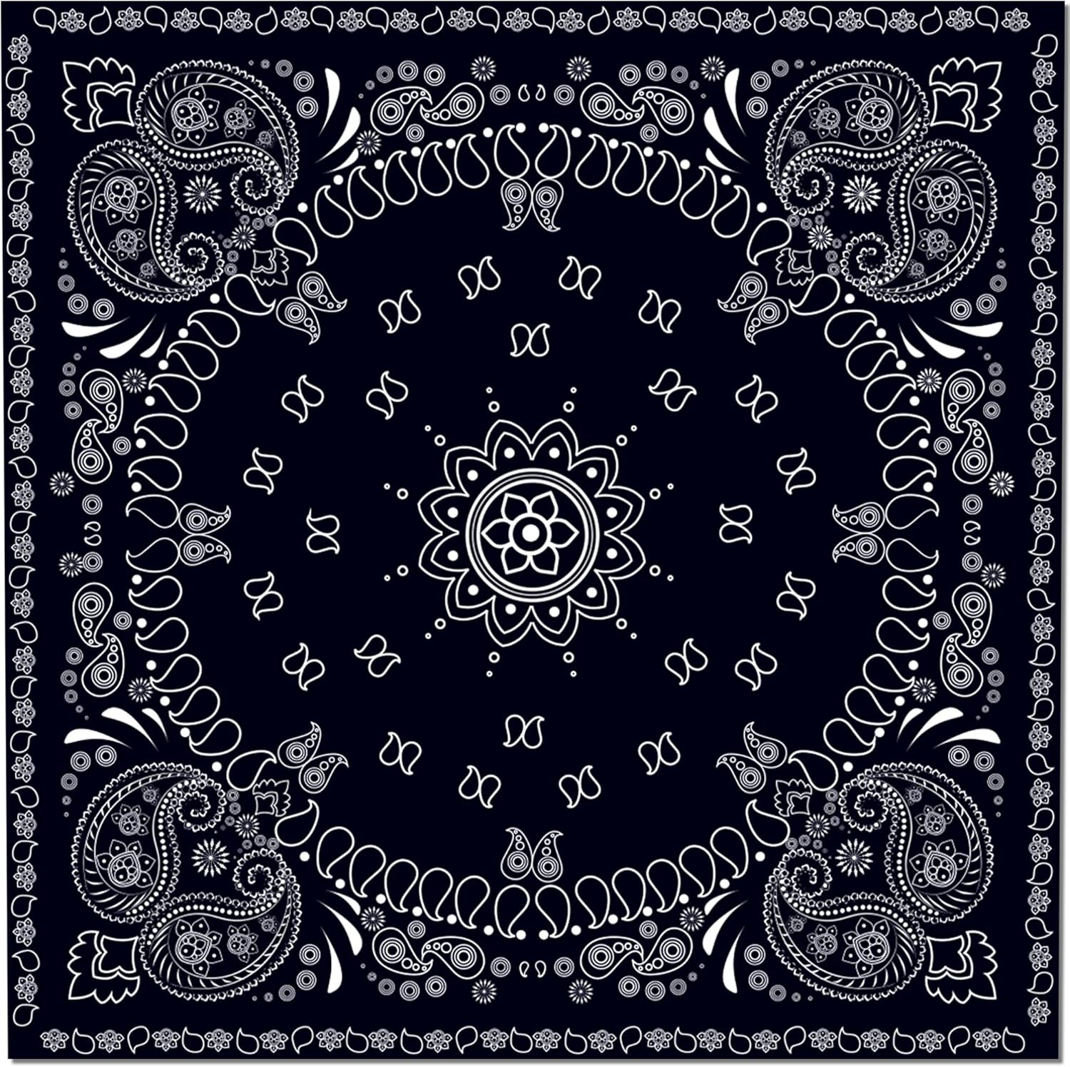 CC HOME Black Bandana Birthday Paper Plates Napkins Paisley Print Disposable Tableware Set Party Supplies Western Cowboy Theme Dinnerware Sets Serves 24 Guests for Party Plates Napkins 88PCS - Image 3