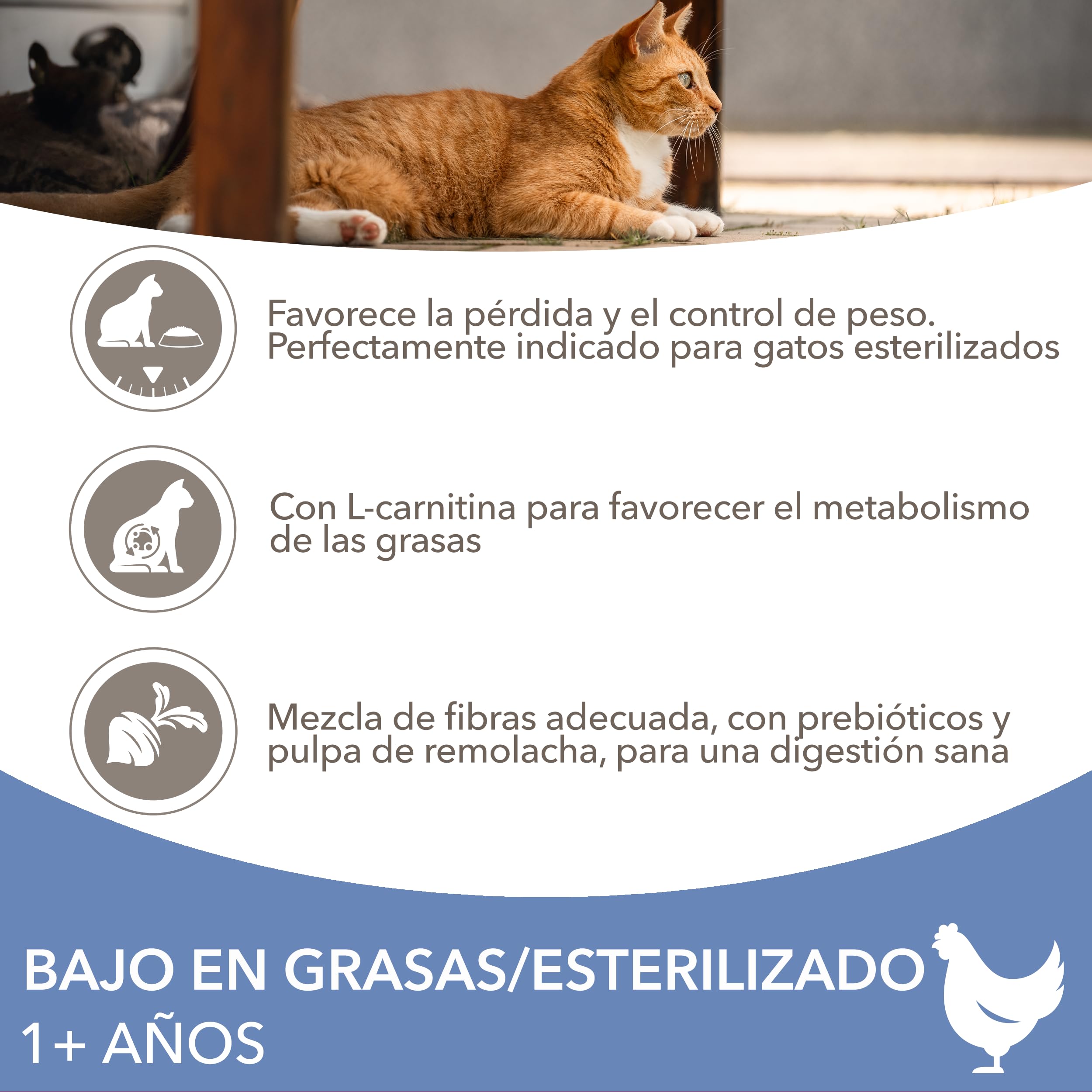 IAMS Alimento seco para gatos esterilizados - comida seca para gatos adultos de más de 1 año con pollo fresco, 3 kg