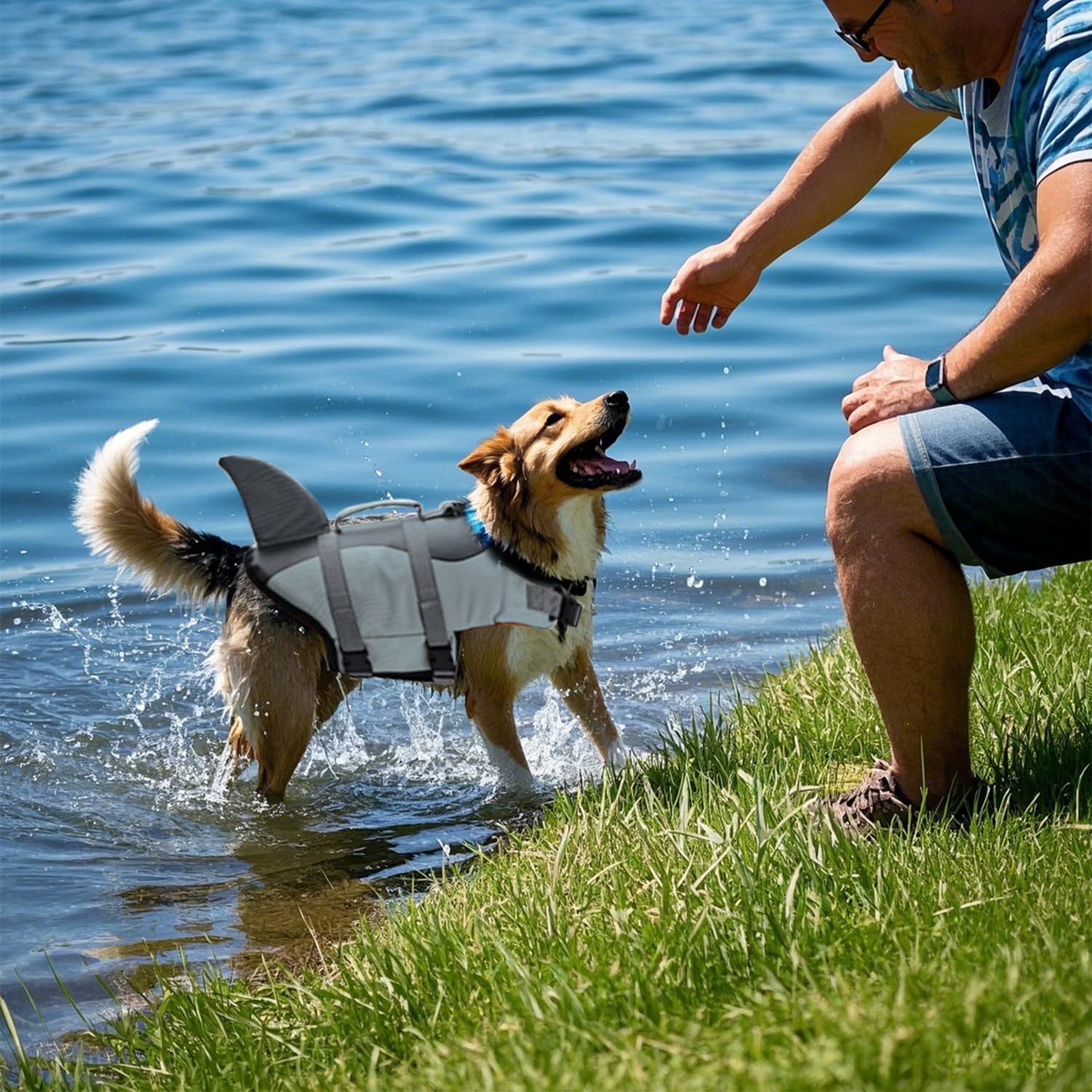 Chaleco salvavidas para tiburones con asa y reflector, chaleco de seguridad para mascotas (gris, XL)