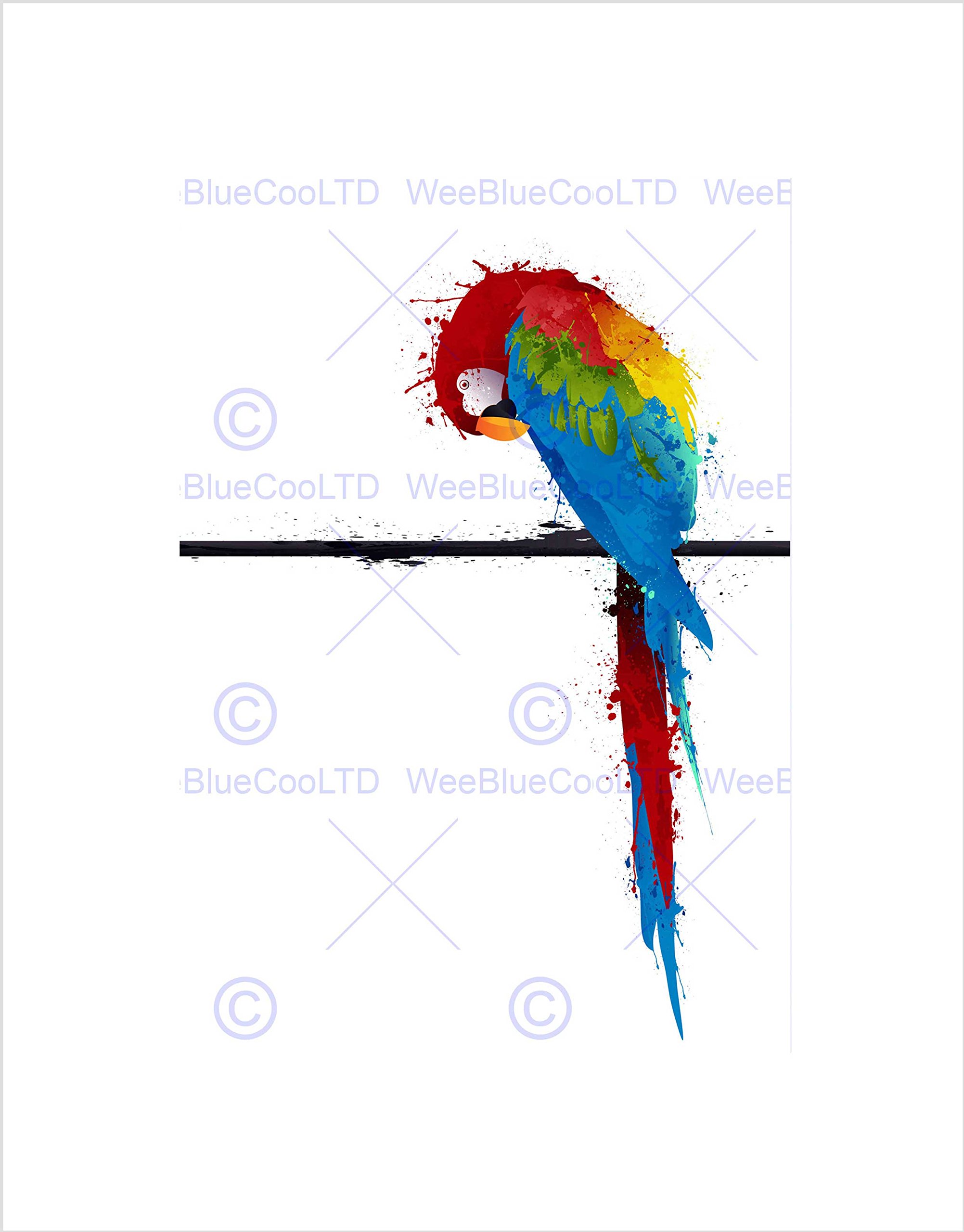 Wee Blue Coo Dt Paint Splat Parrot Art Wall Art Print