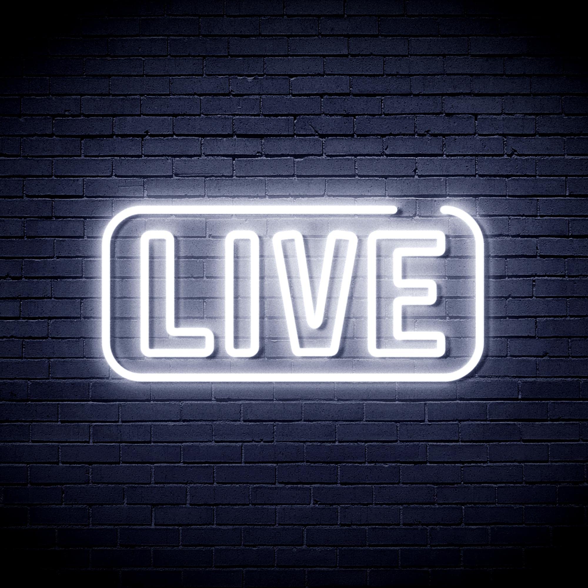 Amazon.com : ADVPRO Live Flex Silicone LED Neon Sign - White