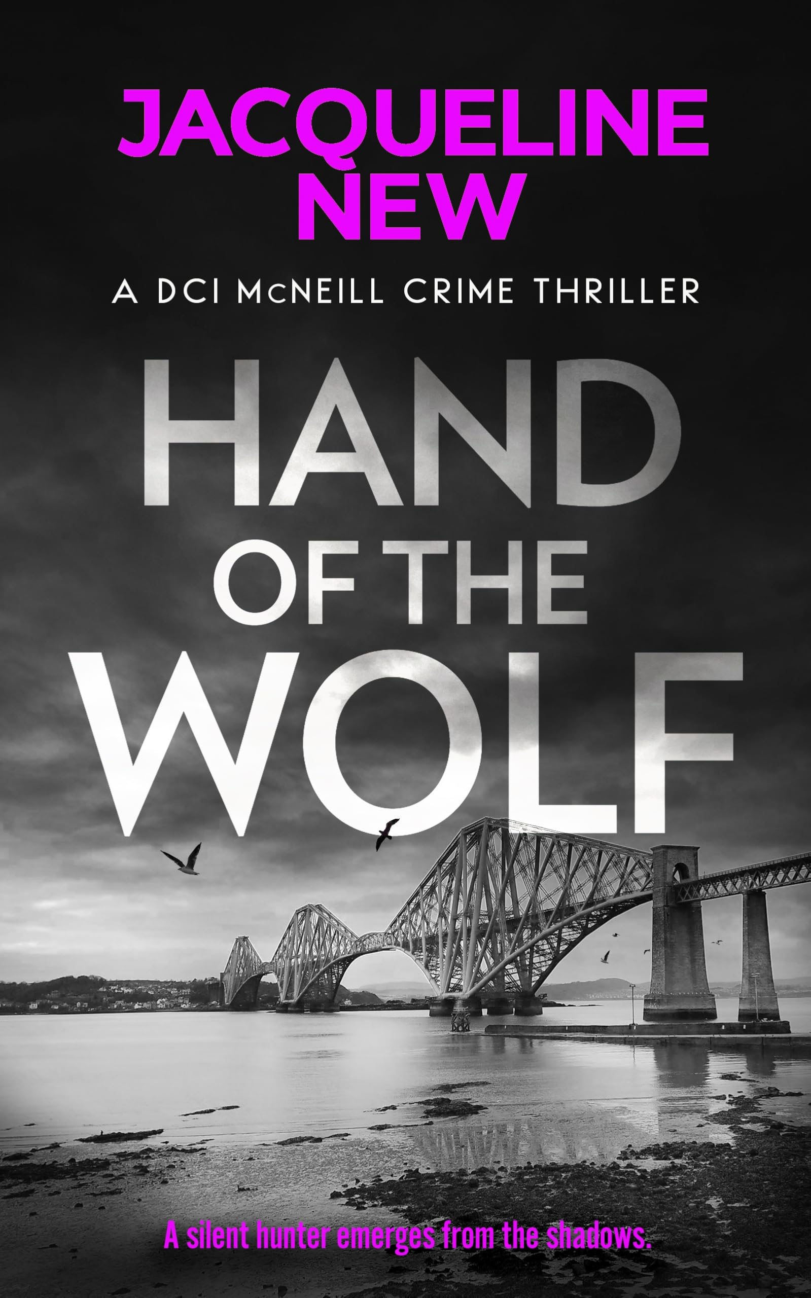 Hand of the Wolf: A gripping Scottish crime thriller: 3 (DCI McNeill Crime Thriller)