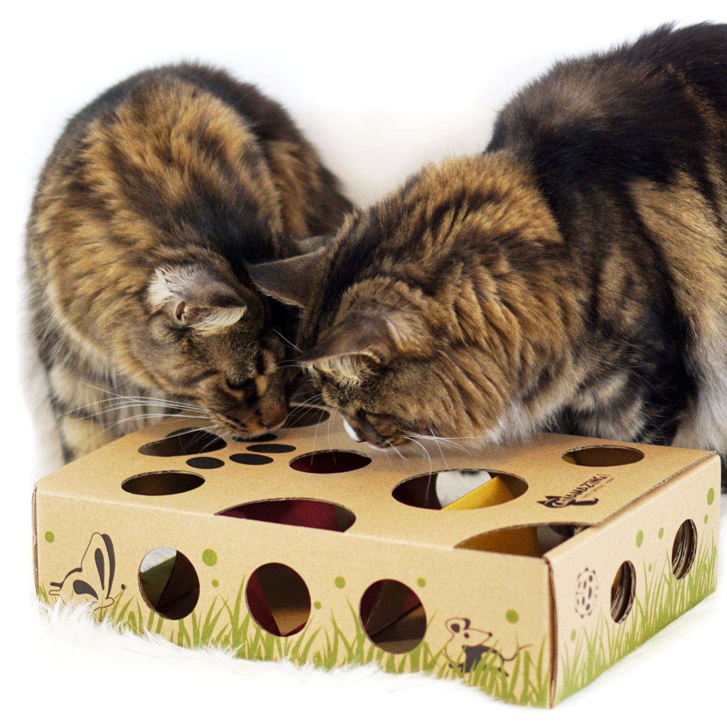 Cat Amazing Best Cat Toy Ever! Interactive Treat Maze & Puzzle Feeder