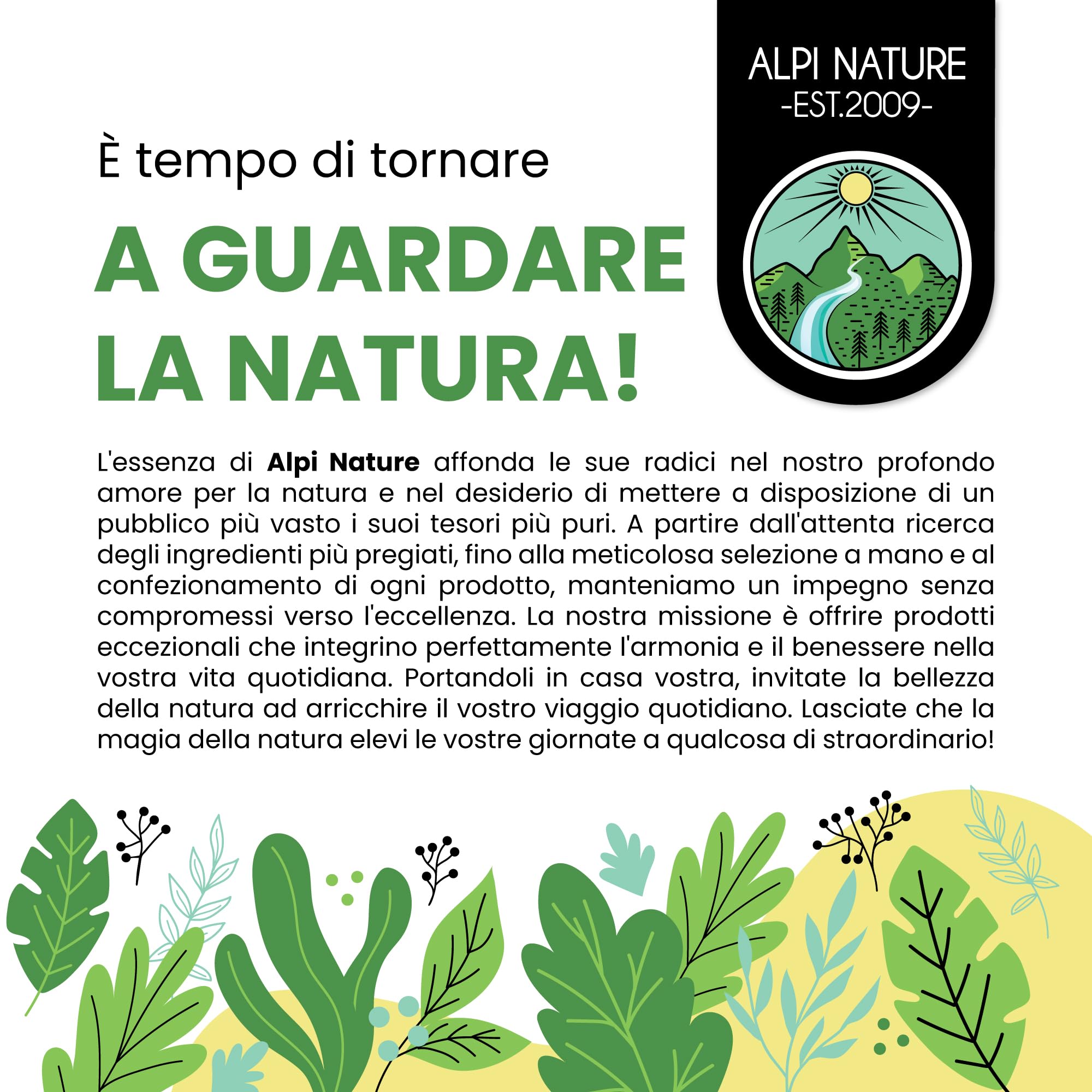 Alpi Nature Ortica Foglie in Polvere 250g, Foglie di Ortica Essiccate e Macinate, Urtica dioica