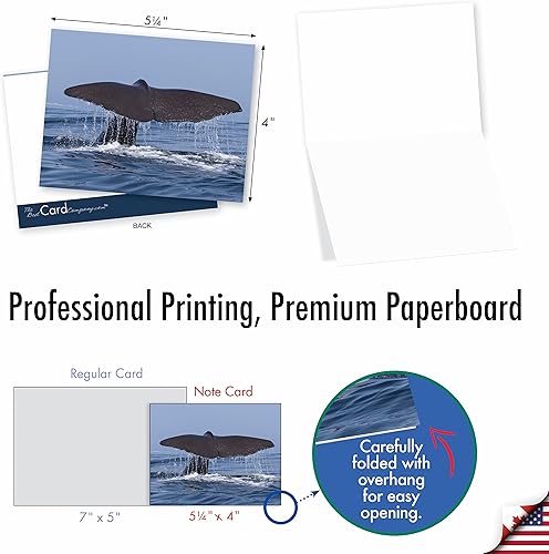 Miniatura 9 de The Best Card Company - 10 tarjetas en blanco para todas las ocasiones (4 x 5.12 pulgadas) - Surtido de tarjetas náuticas, oceánicas, de vida marina