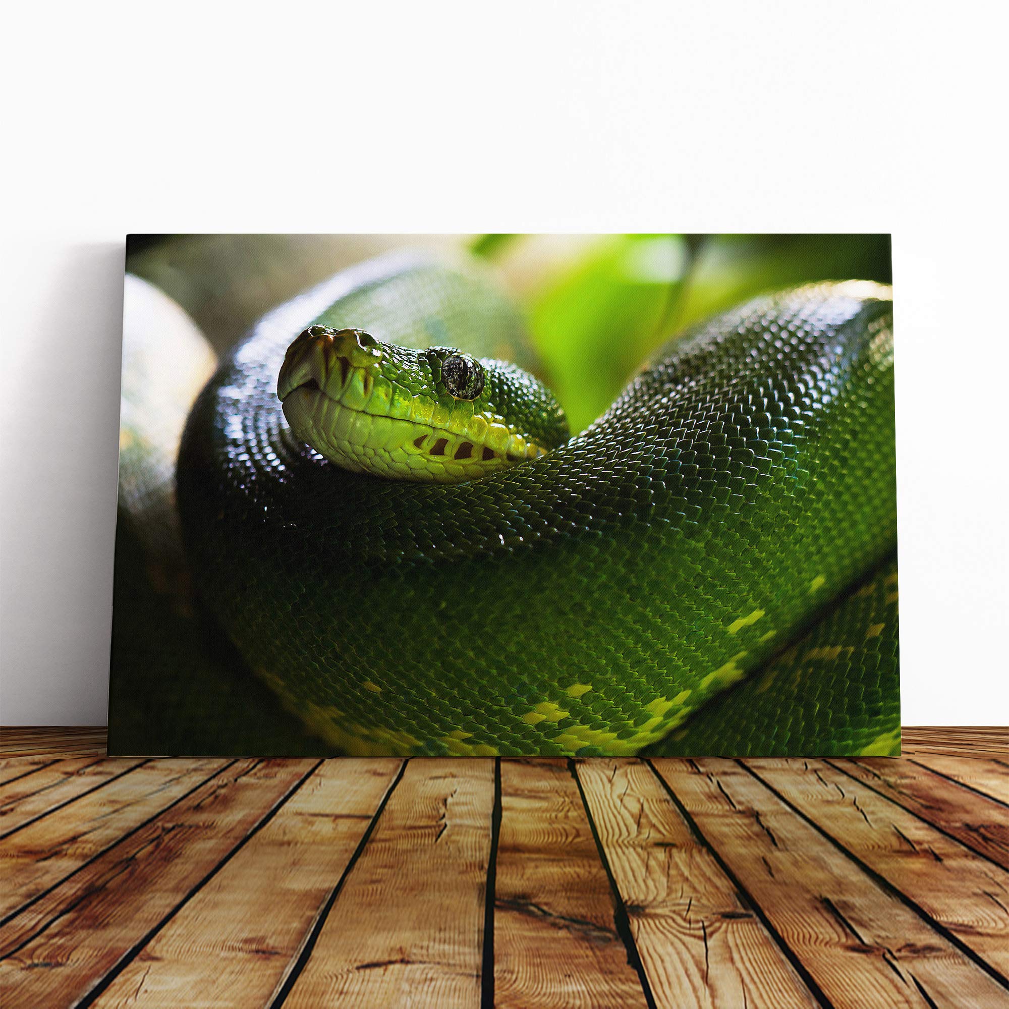 Green Tree Python Snake Canvas Print | Gallery Wrapped 30mm Frame Wall Art | 24x16 inches | Ready to Hang | Modern Animals Picture | Living Room Bedroom Lounge Office