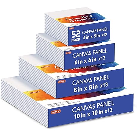 Shuttle Art Painting Canvas Panel for Painting