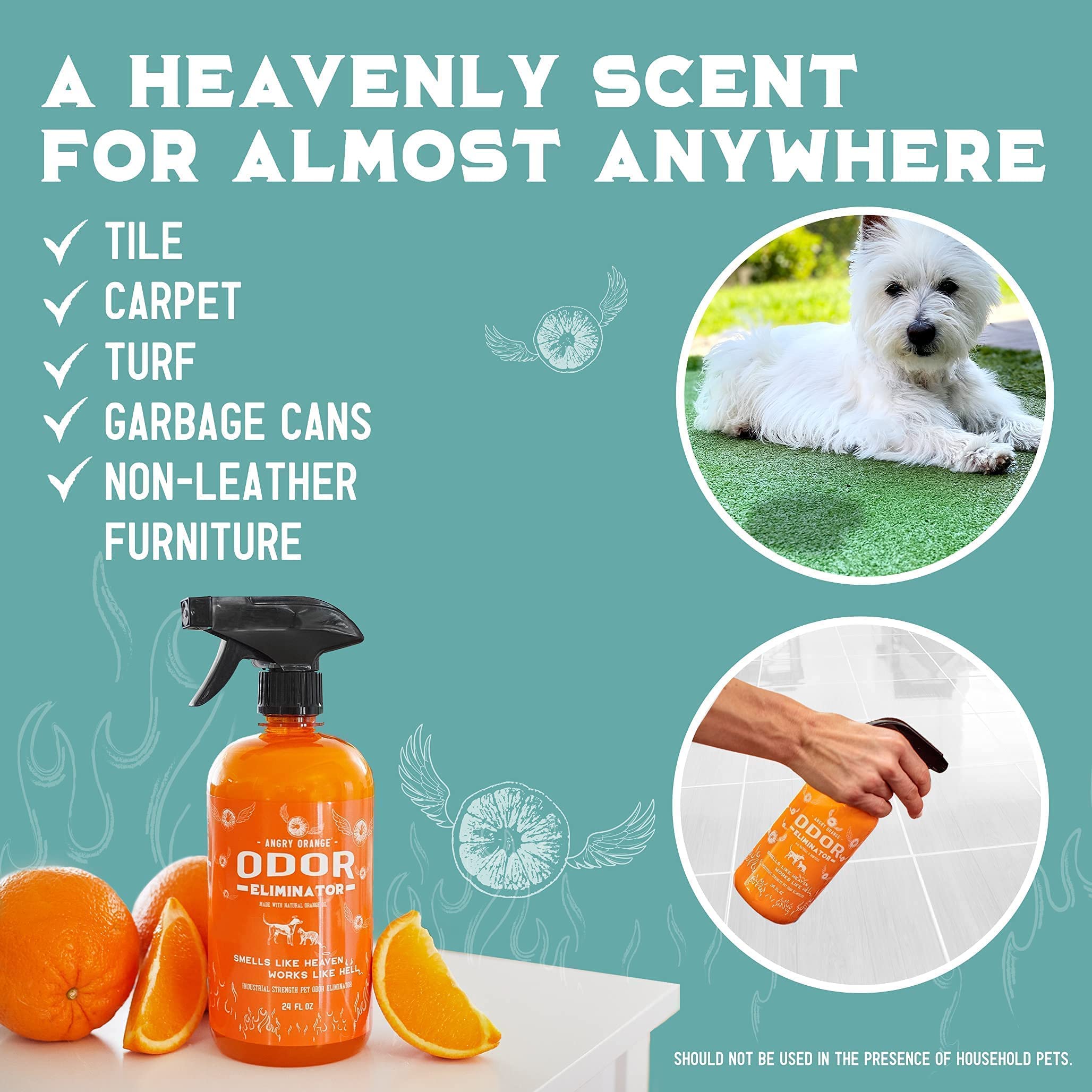 ANGRY ORANGE Pet Odor Eliminator for Home Citrus Deodorizer for