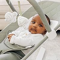 Vista 3 de Mecedora portátil Baby Delight Alpine Deluxe para bebés Infantil 0-6 meses Tela de algodón orgánico 100 % certificada por la Norma Mundial