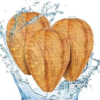 蜂の巣の太陽 蜂の巣の太陽 ライブDio-ZX 後期 メッキ蜂の巣マフラー 蜂の巣の太陽 蜂の巣の太陽 ライブDio-ZX 後期 メッキ蜂の巣マフラー