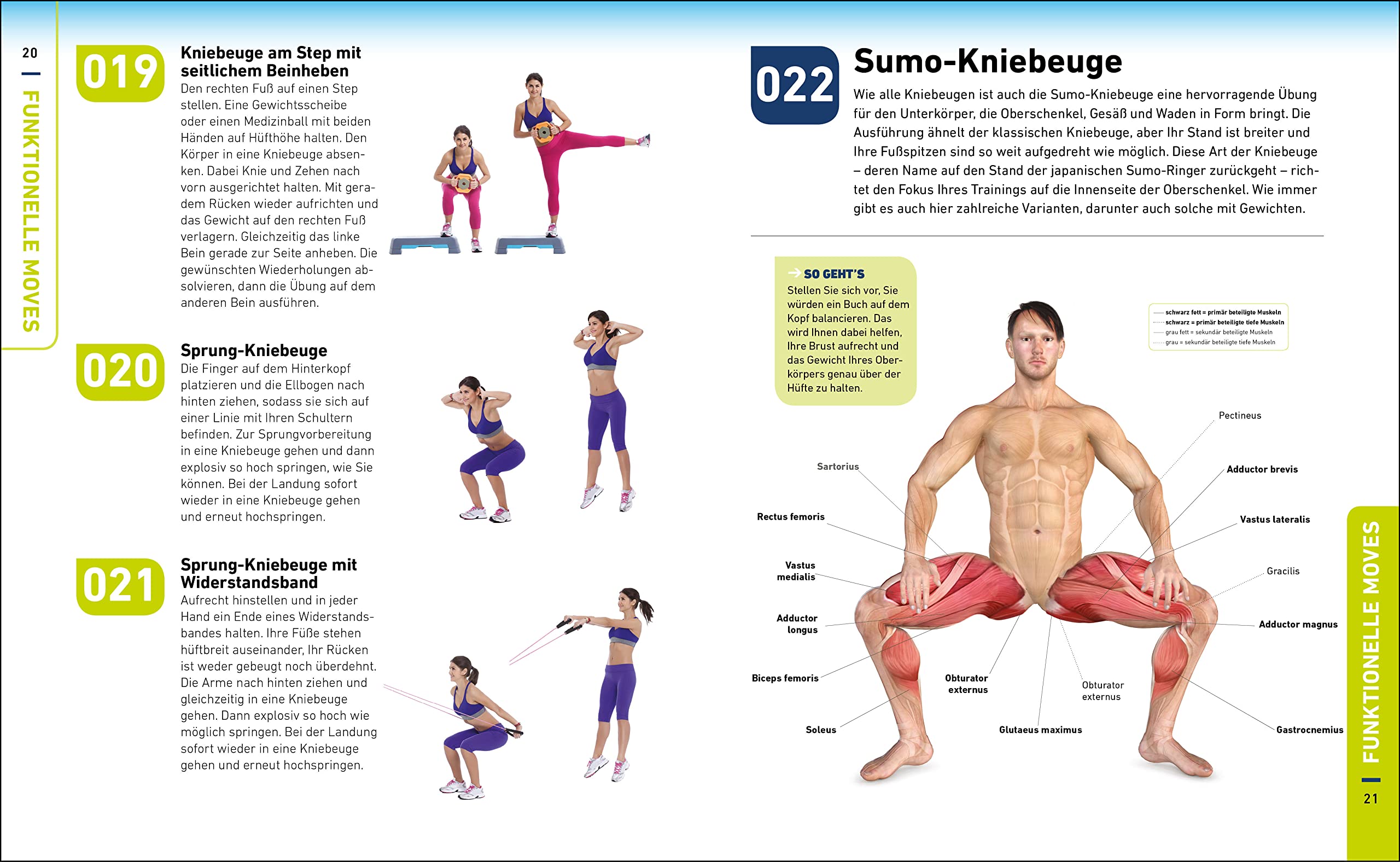 Die H.I.T.-Bibel: 500 hochintensive Übungen für Ihr Power-Workout