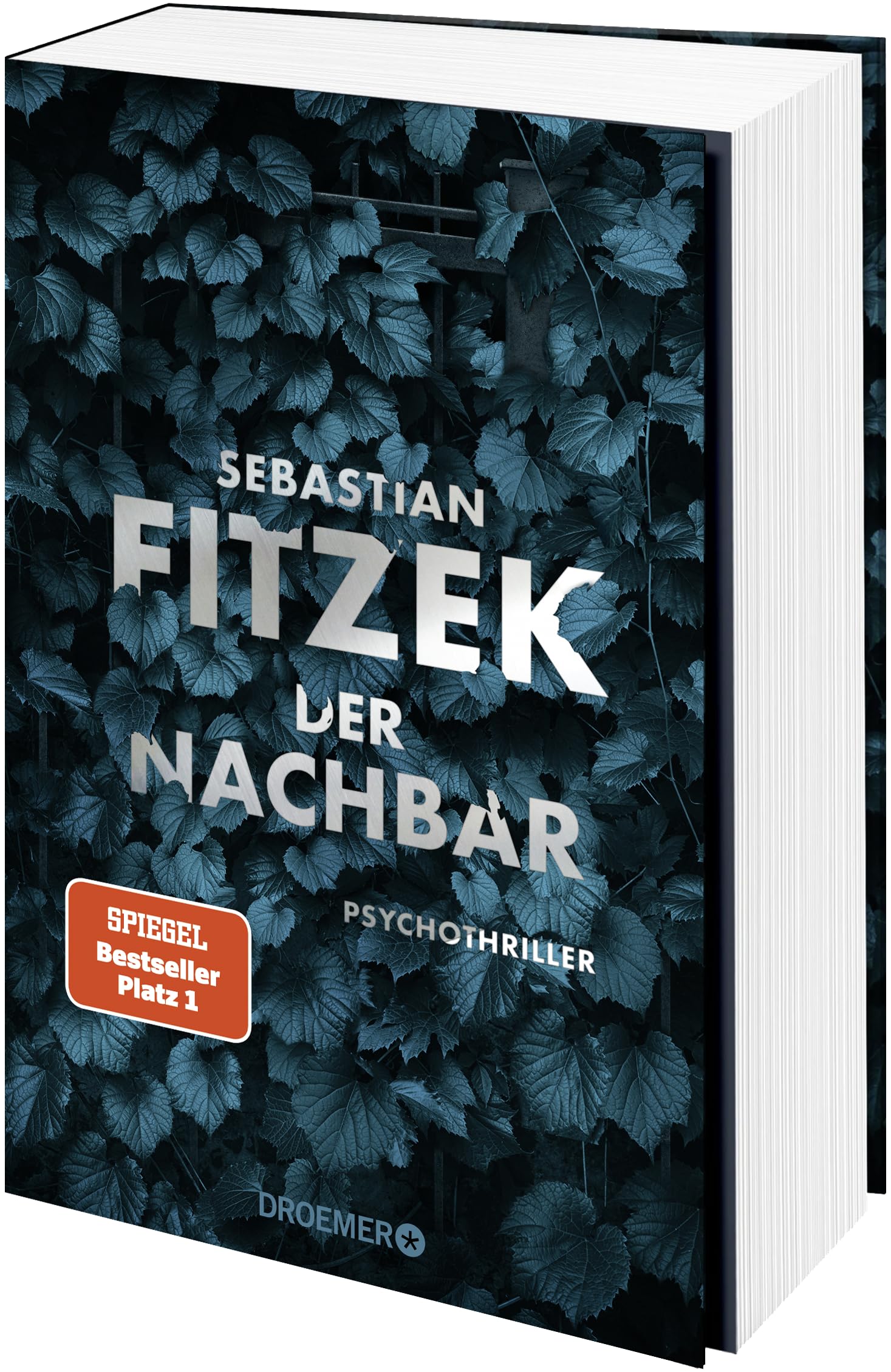 Der Nachbar: Psychothriller