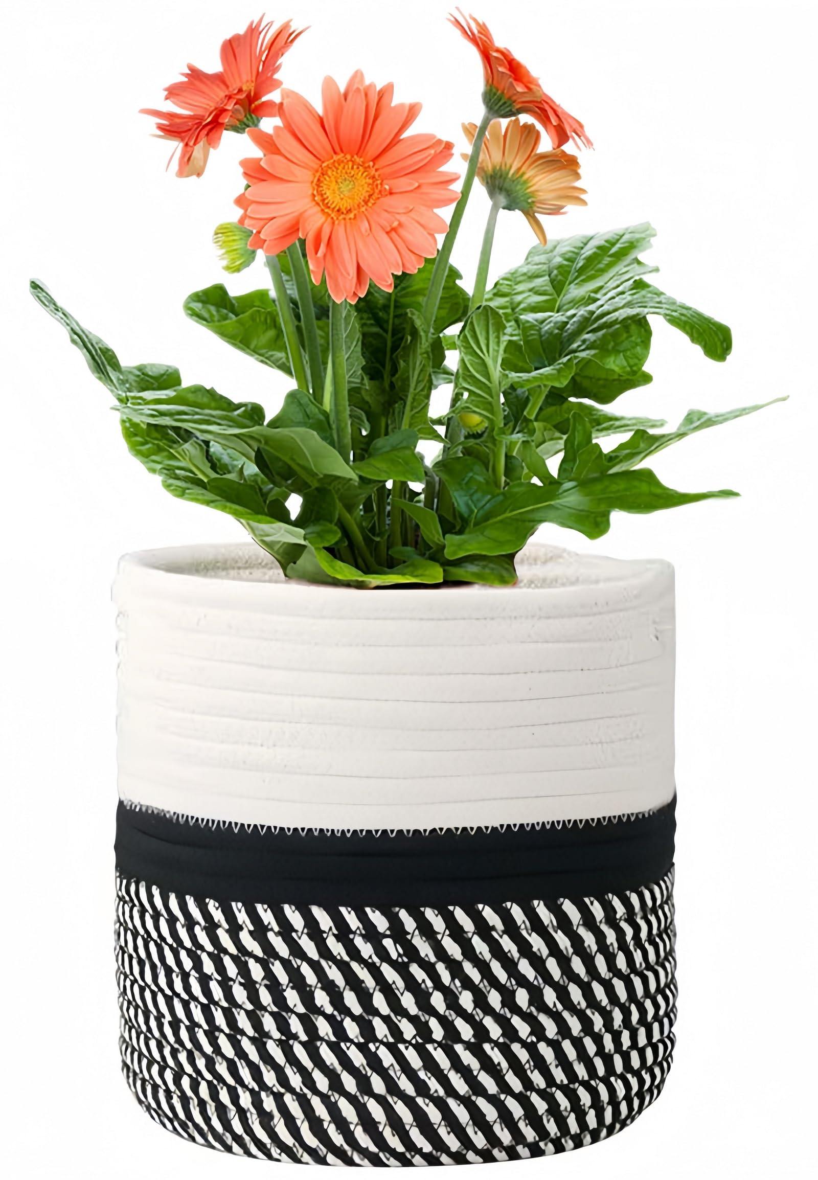 KMERCE Gross Pflanzkorb geflochten, Blumentopf Korb 25cm Durchmesser, übertöpfe für zimmerpflanzen, blumenkorb Indoor, übertopf Korb Gross innen Boho, pflanzentopf Gestrickt mit Griffen