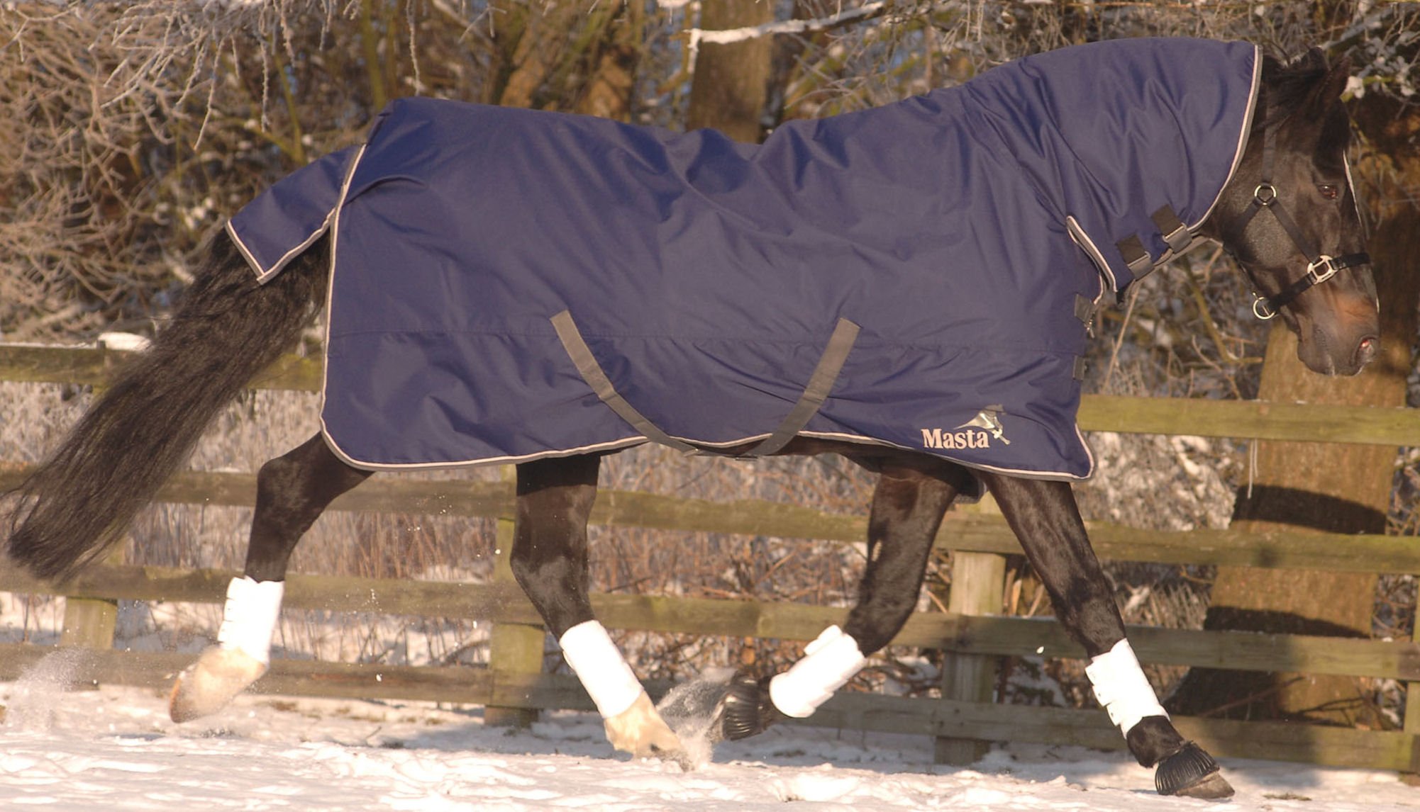 Masta Avante 170 Couverture d'écurie à col fixe Bleu marine 167 cm