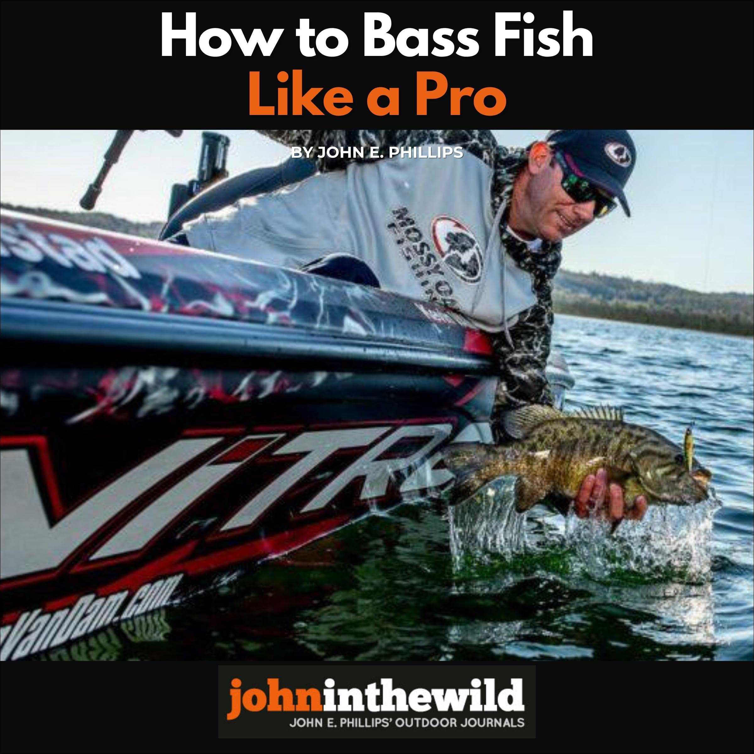 How to Bass Fish Like a Pro