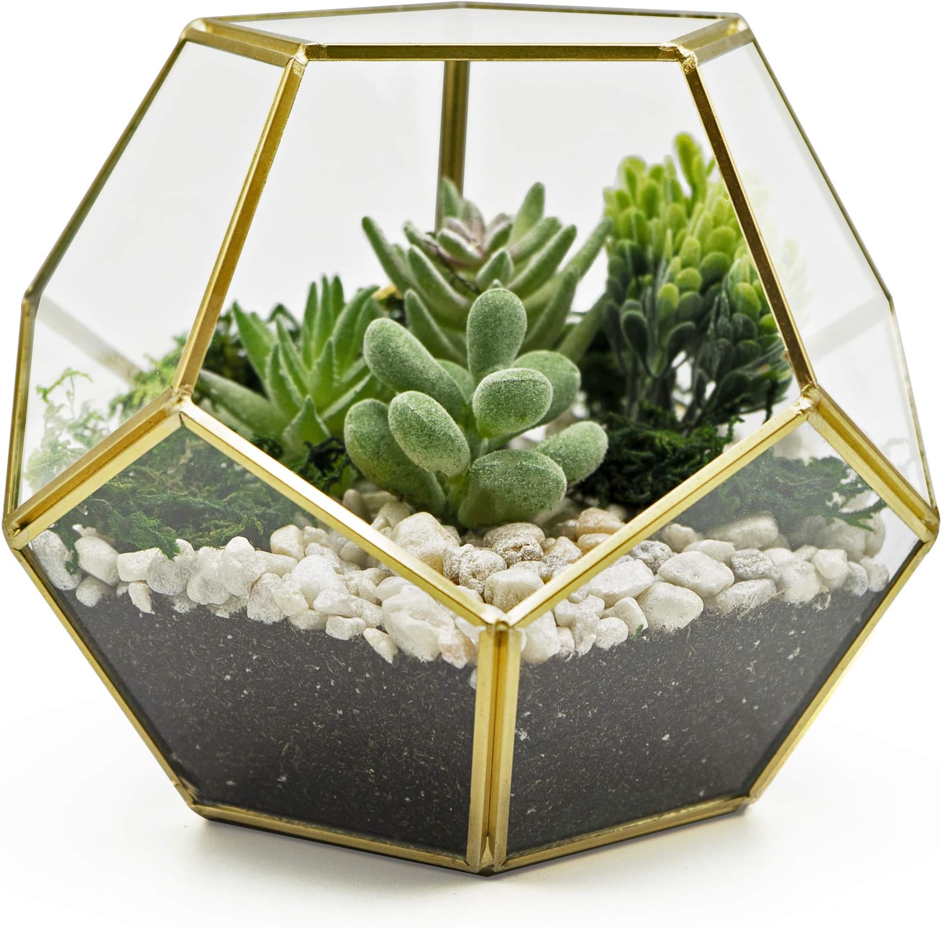 MOCTUS Glass Geometric Terrarium - Succulent Planter - Brass Container Box for Garden/Outdoor/Indoor/Home Decoration, Wedding Gift, Centerpiece - Gold Sphere Pot Holder for Display/Tabletop/Desktop