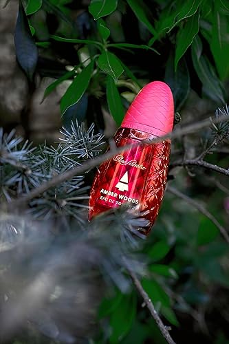 Miniatura 5 de Amber Woods por Pino Silvestre - Perfume para hombres - Aromático, amaderado y picante - Mezclado con limón, lavanda, pachulí y sándalo - para