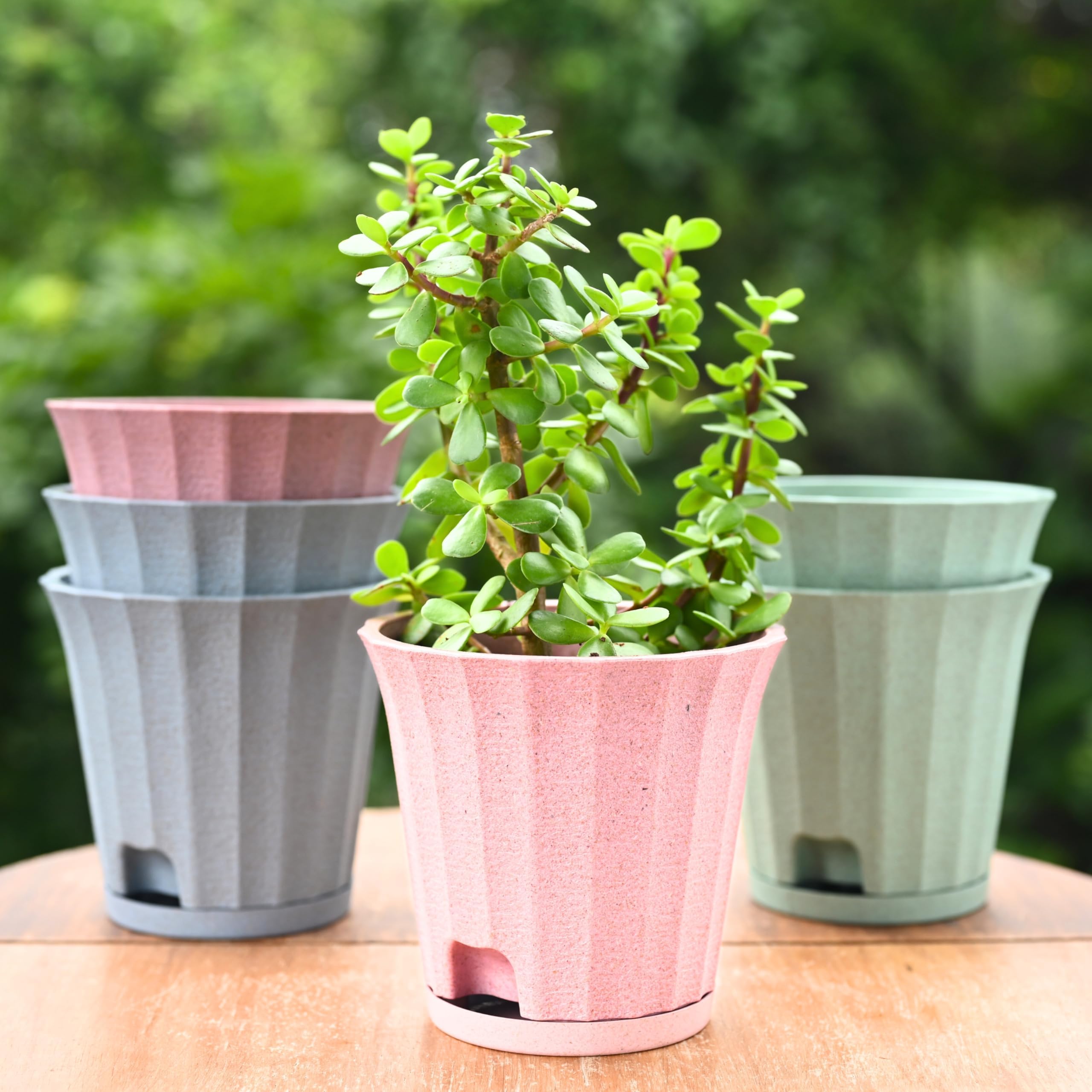 Eha Earth Friendly Ace 5 inch Small Self Watering Pots for Indoor Plants | Set of 6 | Plant Pot Made with Bamboo Fibers | Table Top Planters for Home Decor, Flower Pot for Living Room | Multicolor