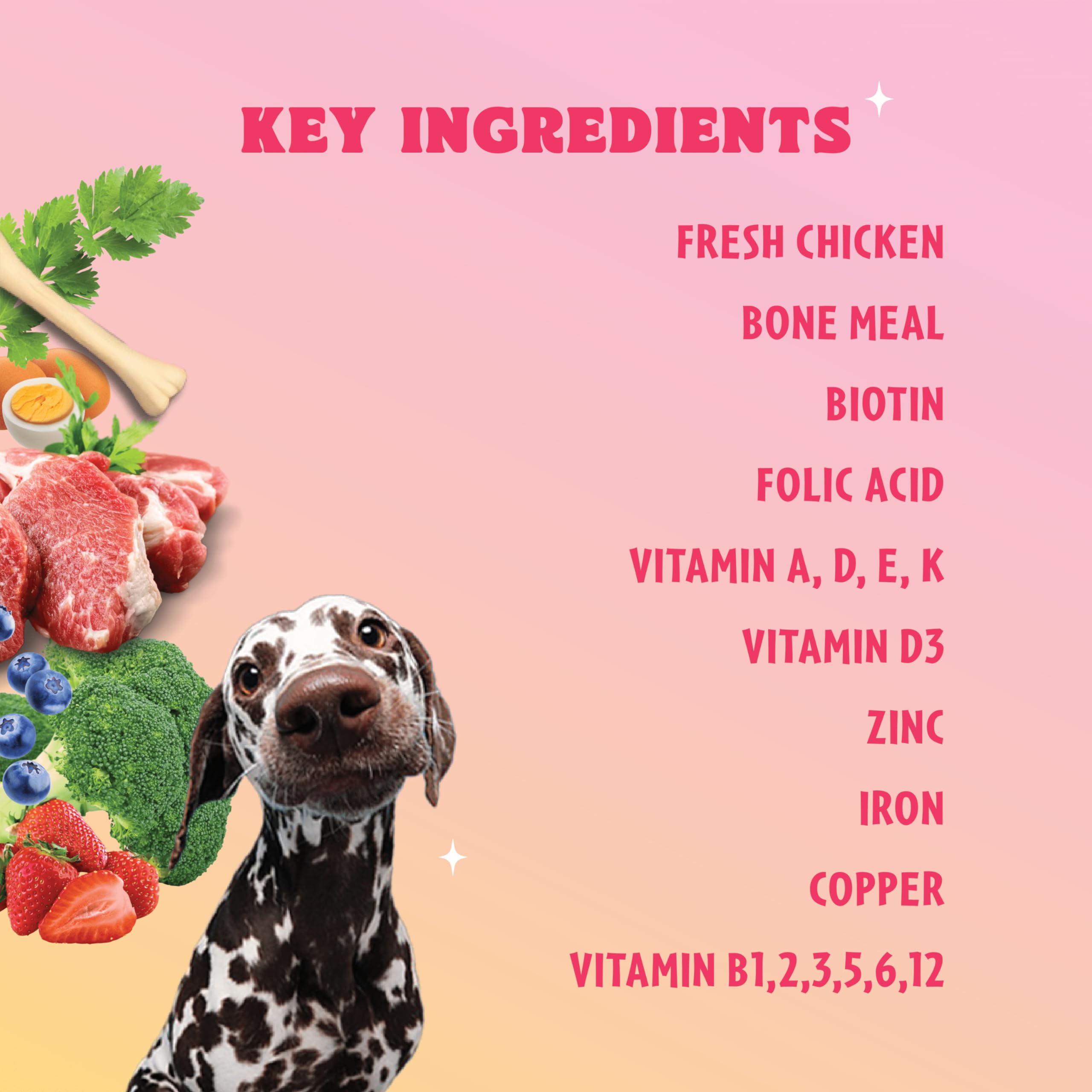 Wellie 8-in-1 Multivit Bites Dog Supplements | Chicken Flavored Treats with 8 Essential Vitamins, Zinc, Iron & Copper | Boosts Immunity, Skin & Coat, Energy & Wellness | for All Breeds | 100g 1