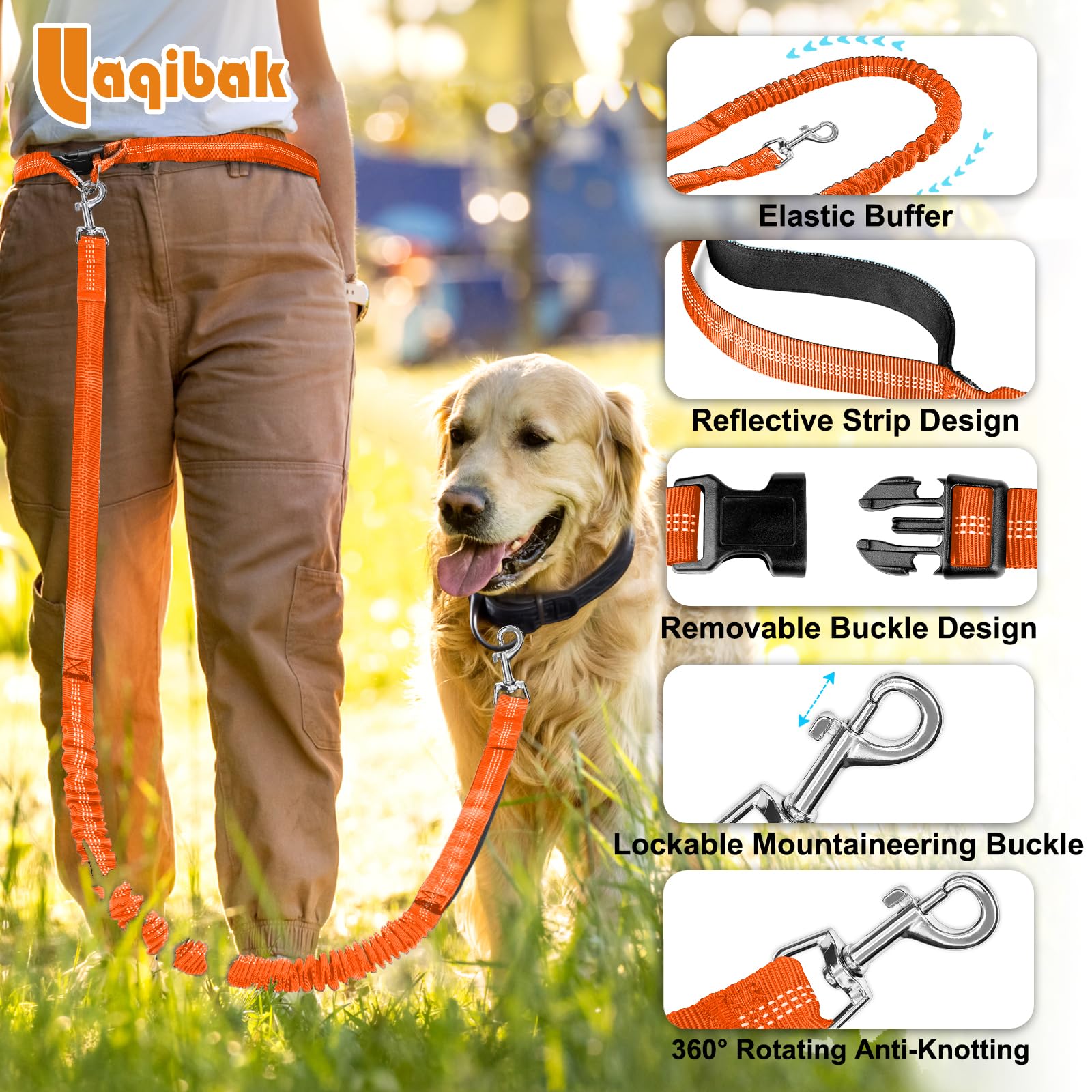 Hands Free Dog Leash, Adjustable Waist Leash for Dog Walking, Dual Bungee 4.2-6.7 Feet Long with Reflective Stitches for Walking Hiking Running, Fits 26"- 43" Inch Waist, Orange - image 6