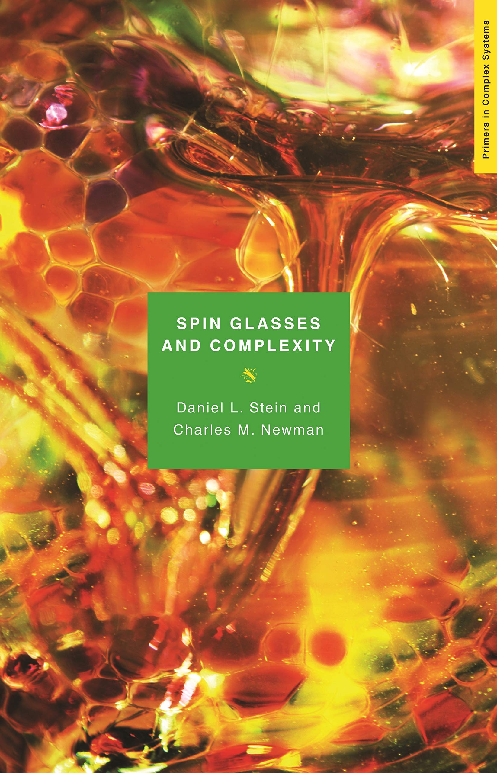 Spin Glasses and Complexity (Primers in Complex Systems Book 4) (English Edition)