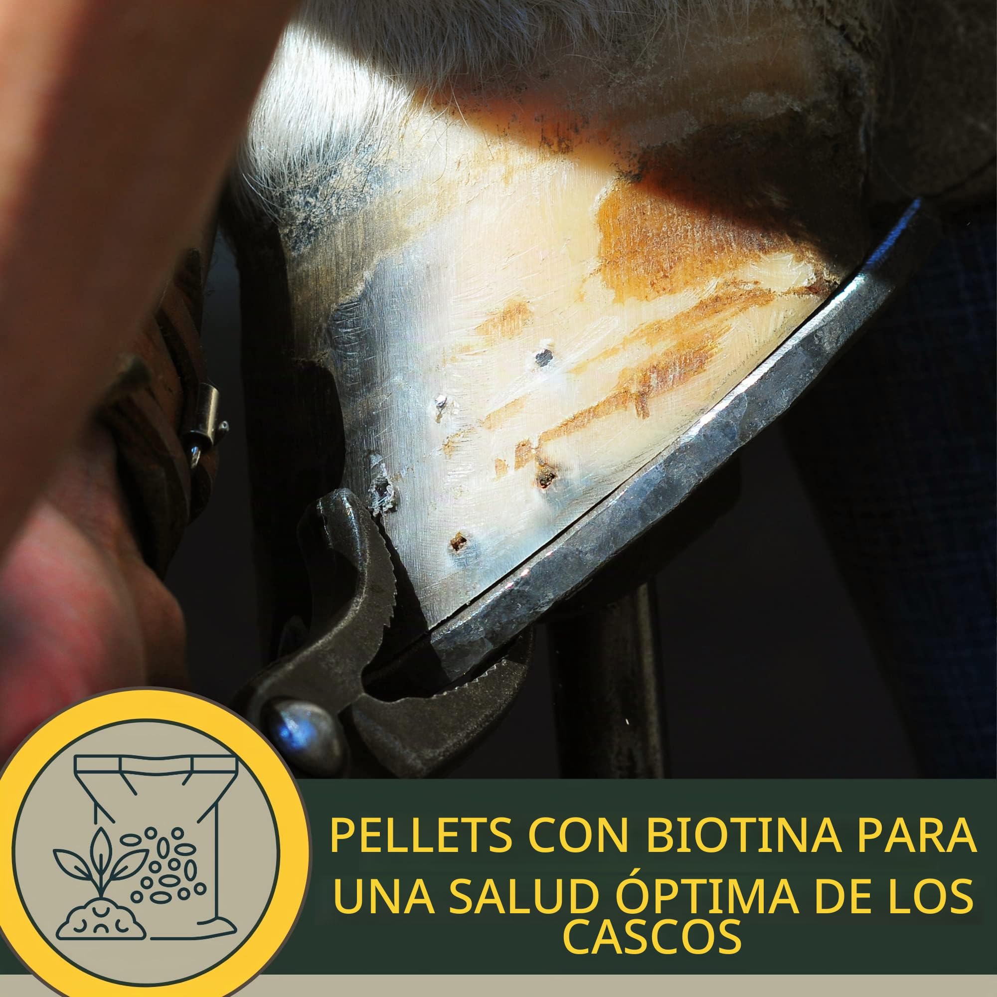 Biotina Caballo + Zinc Caballo Altamente Dosificado 1Kg - Alimento Mineral con Problemas de Pezuñas con Biotina y Zinc I Cura de Pezuñas para Pelo Pezuñas y Crecimiento de Pezuñas I Cambio de Pelaje