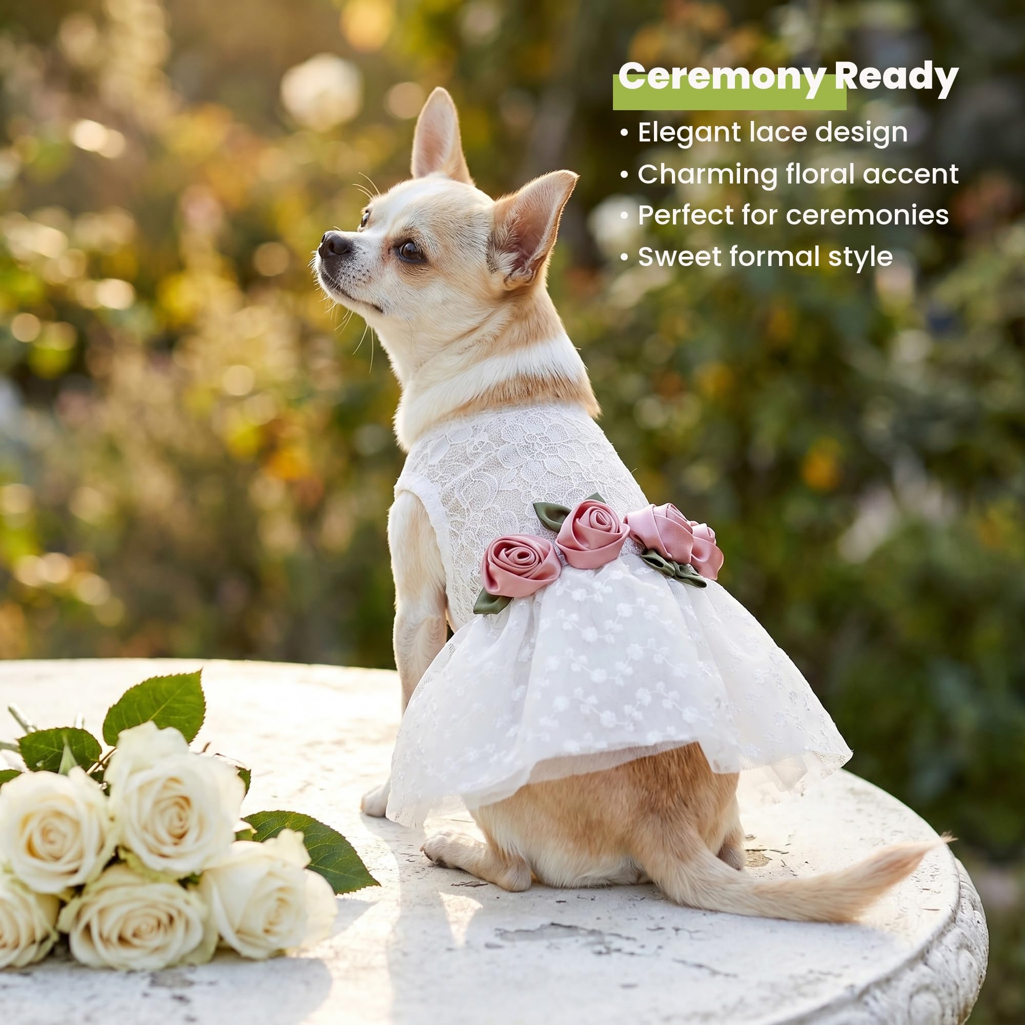 Laxury Dog Dress Blessing Babies【Bliss】 Fitwarm Luxury Rose Lace Pet Dog Weddding Dress - Small : Amazon