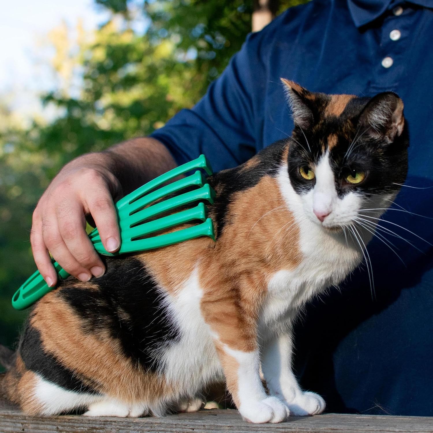 PetKORE: GroomRaker - Cat, Small - Green Deshedding Tool, Pet Grooming, Hair-Dander Removal, Rubber Contour Fingers w/Gentle Metal Tips, Coat Care