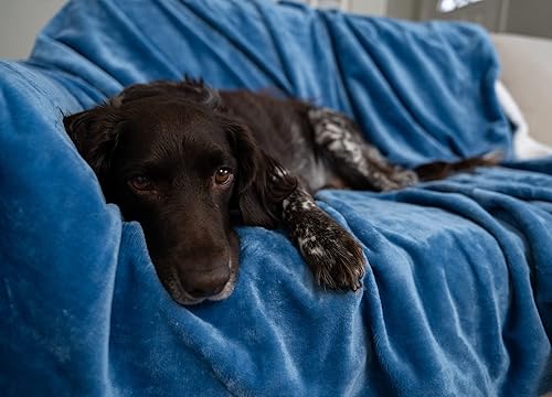 MyPillow Manta para mascotas grande, azul