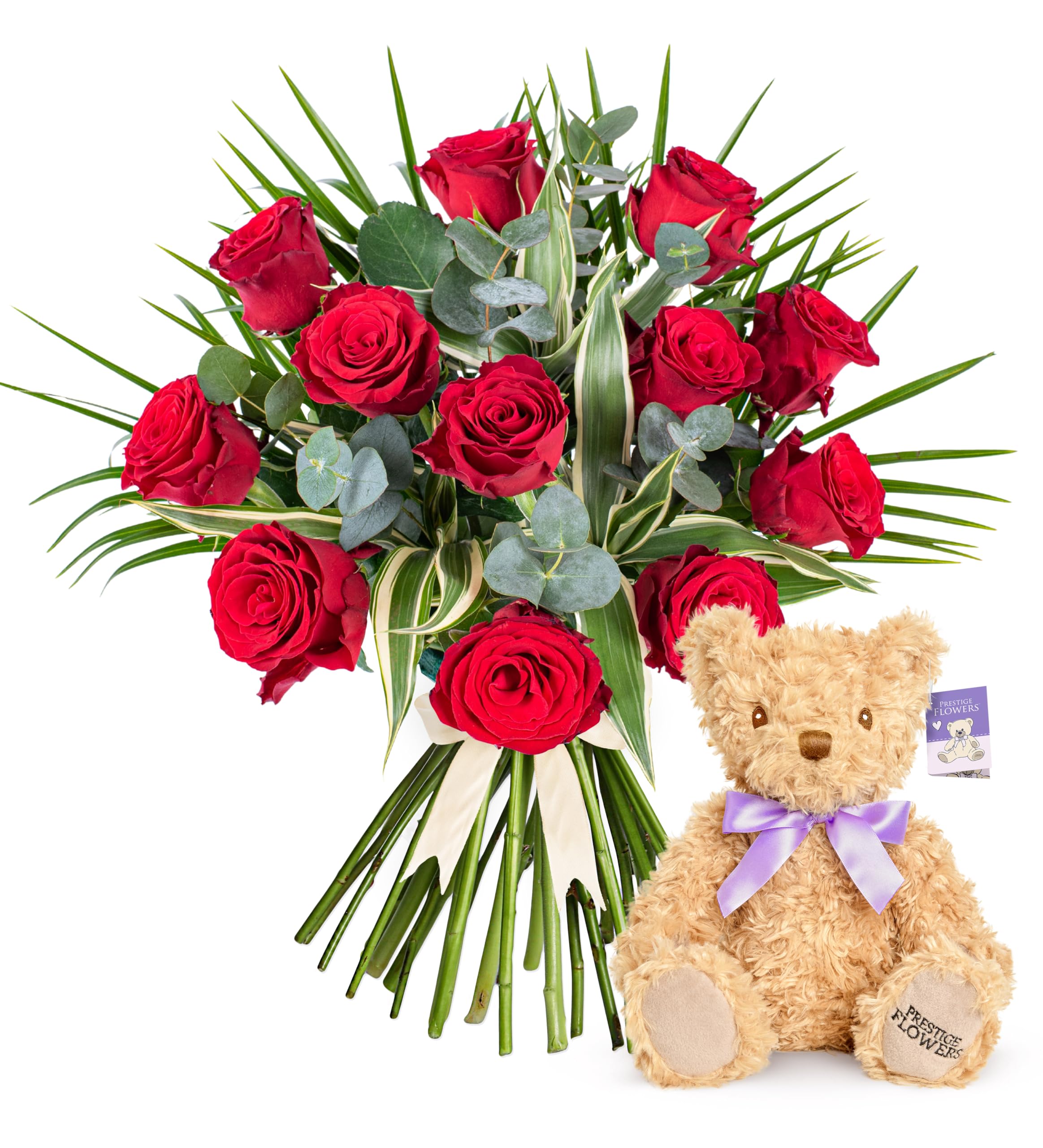12 Red Roses - Fresh Flowers - Birthday, Anniversary, Get Well, Thank You, Occasion Flower - Cut Floral Arrangement for Gifts, Weddings, Sympathy, Celebrations, and Special Events (With Teddy Bear)