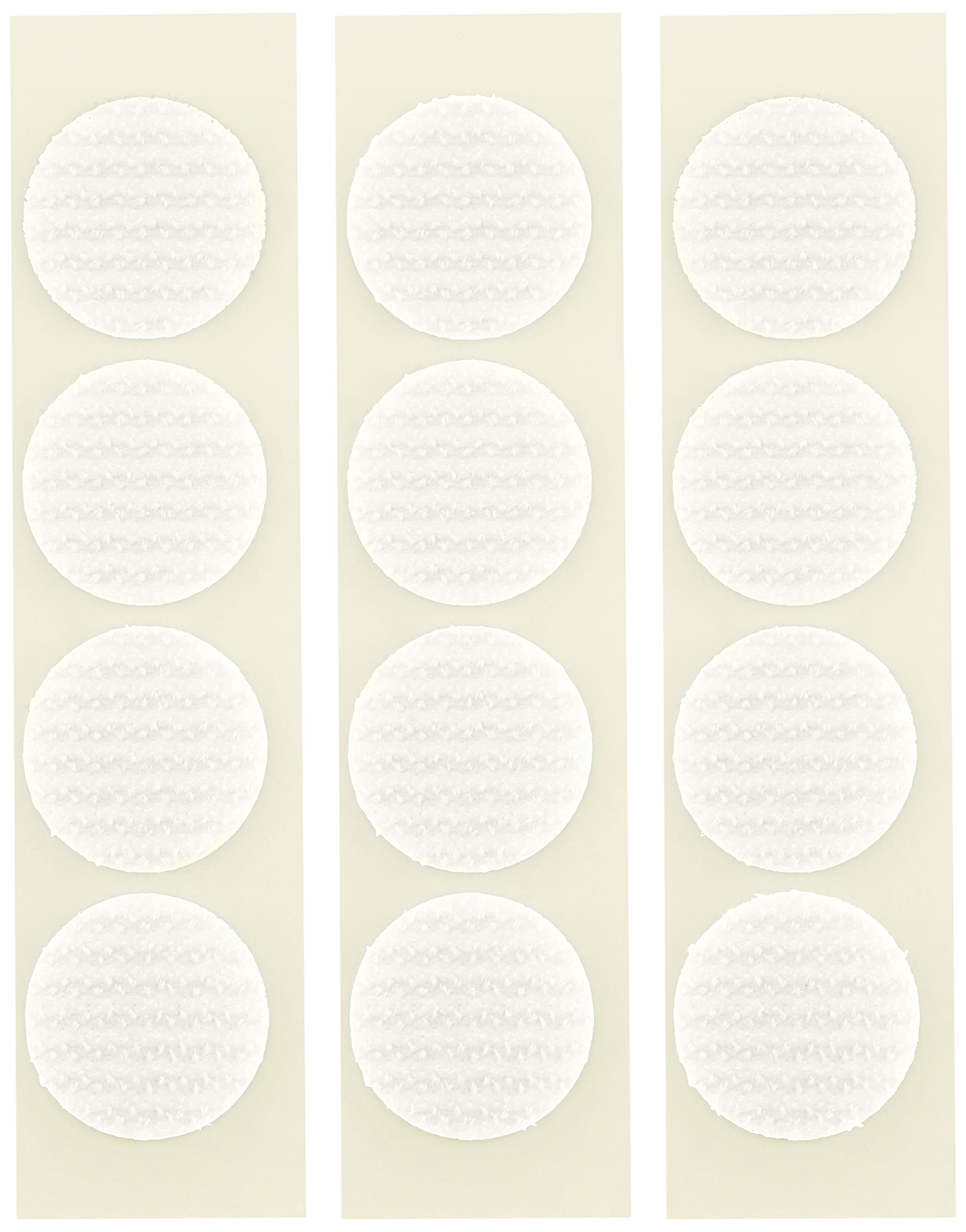 Amazon | Clover フリーマジックスナップ 6組入り 白 26-375