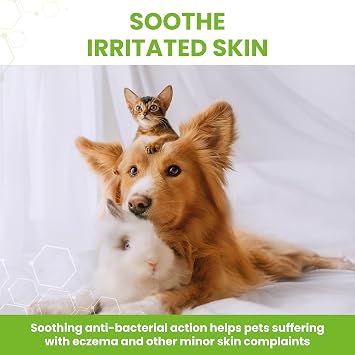Vetzyme Veterinary Antibacterial Powder for Dogs, Cats and Small Pets - Gently Soothes, Dries and Protects the Skin From Harmful Bacteria (40g)
