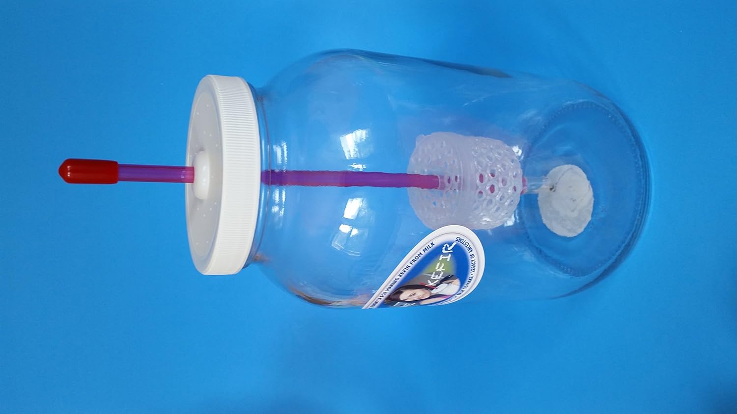 Kefir Fermenter (1.5l/50oz) with Kefir Grains (20g)