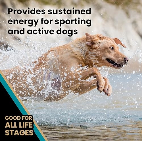 Miniatura 40 de VICTOR Super Premium - Alimento para perros Hi-Pro Plus - Comida seca para perros con alto contenido de proteínas con 30% de proteínas, carne