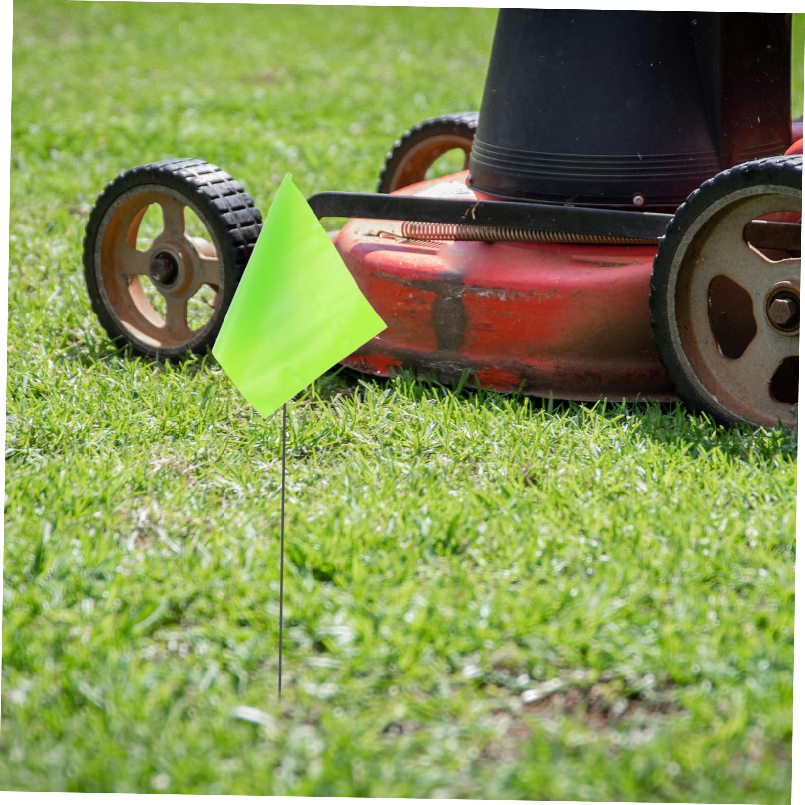 2 Set Bandierine in Poliestere Segnalazione Terreno Per Irrigazione E Marcatura Piccole Bandiere Resistenti E Visibili Per Esterni Per Giardinaggio E Allaperto 50 * 2