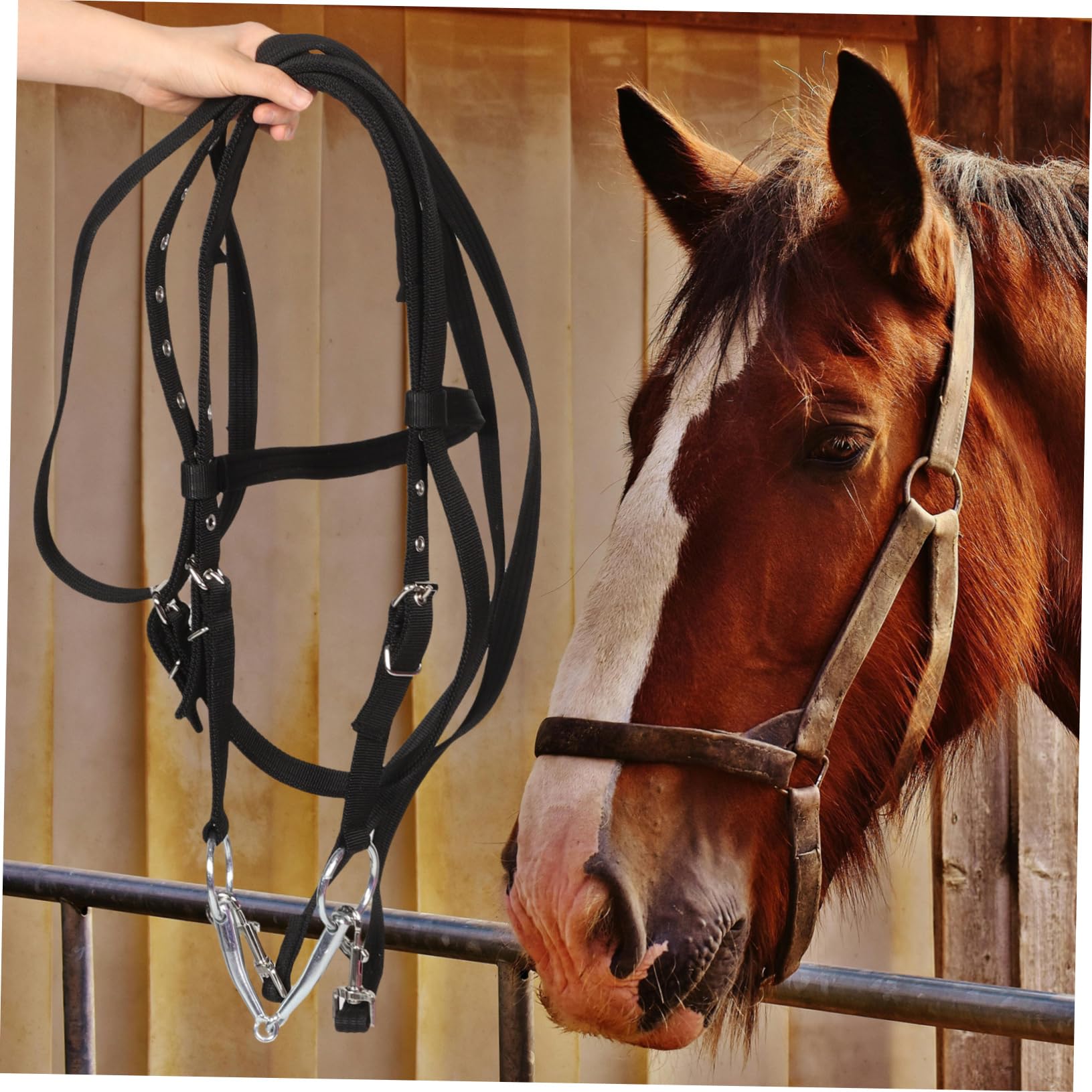 Cabestro de Cuerda para Caballo Negro Grande de Nylon | Brida de Entrenamiento sin Bocado, Diseño Ergonómico, para Montar y Control Seguro