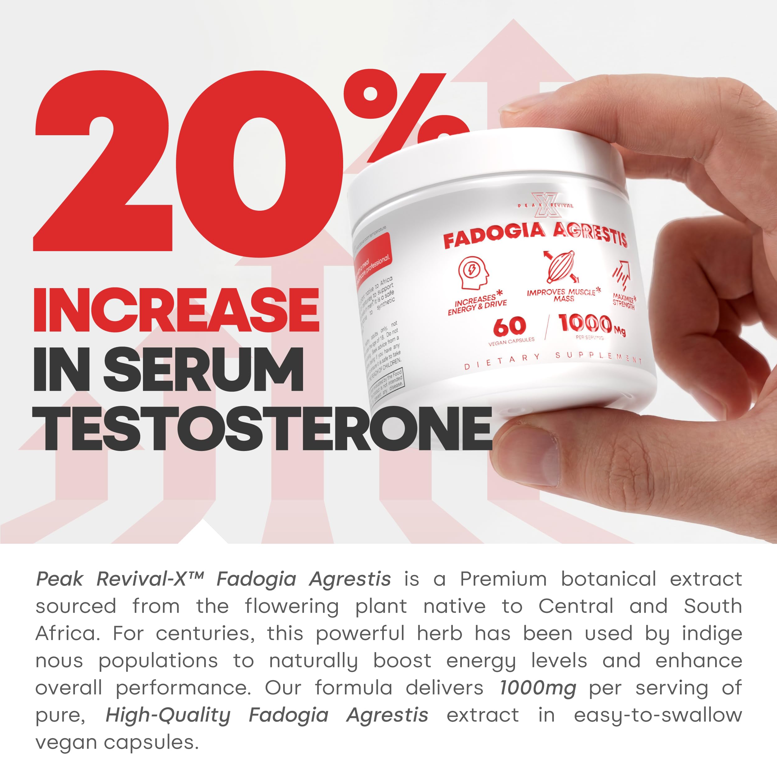 Testosterone Booster for Men with Fadogia Agrestis Supplement (60 Capsules) — Amazon image 3