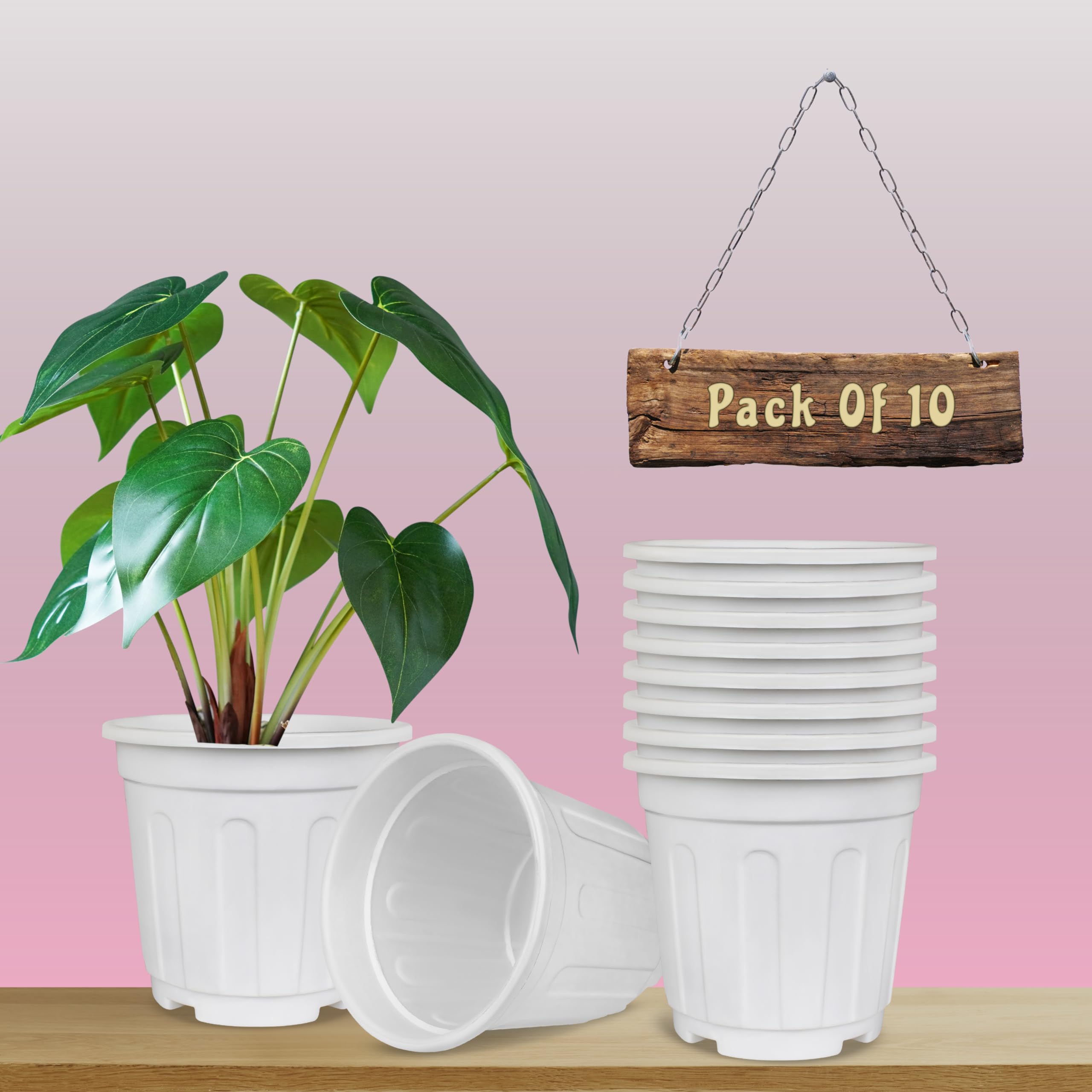 Worketrix® Nursery Pots 6" Inch Plastic Gamla | Gamla Planter | Pots for Home | Plastic Pots | White Pots for Home| Balcony Flower Pots Indoor Outdoor Living Room Pack of 10 (White) (B0BYW8VW57) Amazon Price History, Amazon Price Tracker