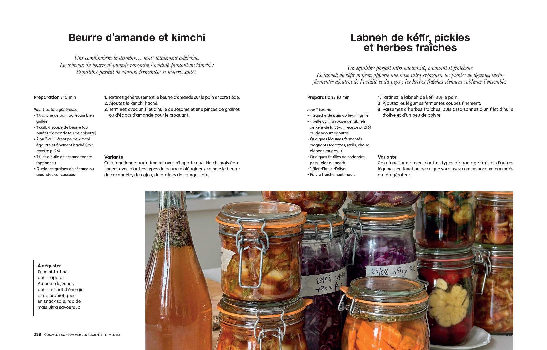 Fermentation à la maison: Légumes, fruits, boissons et pains - 100 recettes pour choyer son microbiote