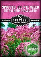 Vista 1 de Semillas de Jardín de Supervivencia - Semillas de Hierba de Joe Pye Manchadas para Plantar Eutrochium maculatum Imán de Mariposas Flor