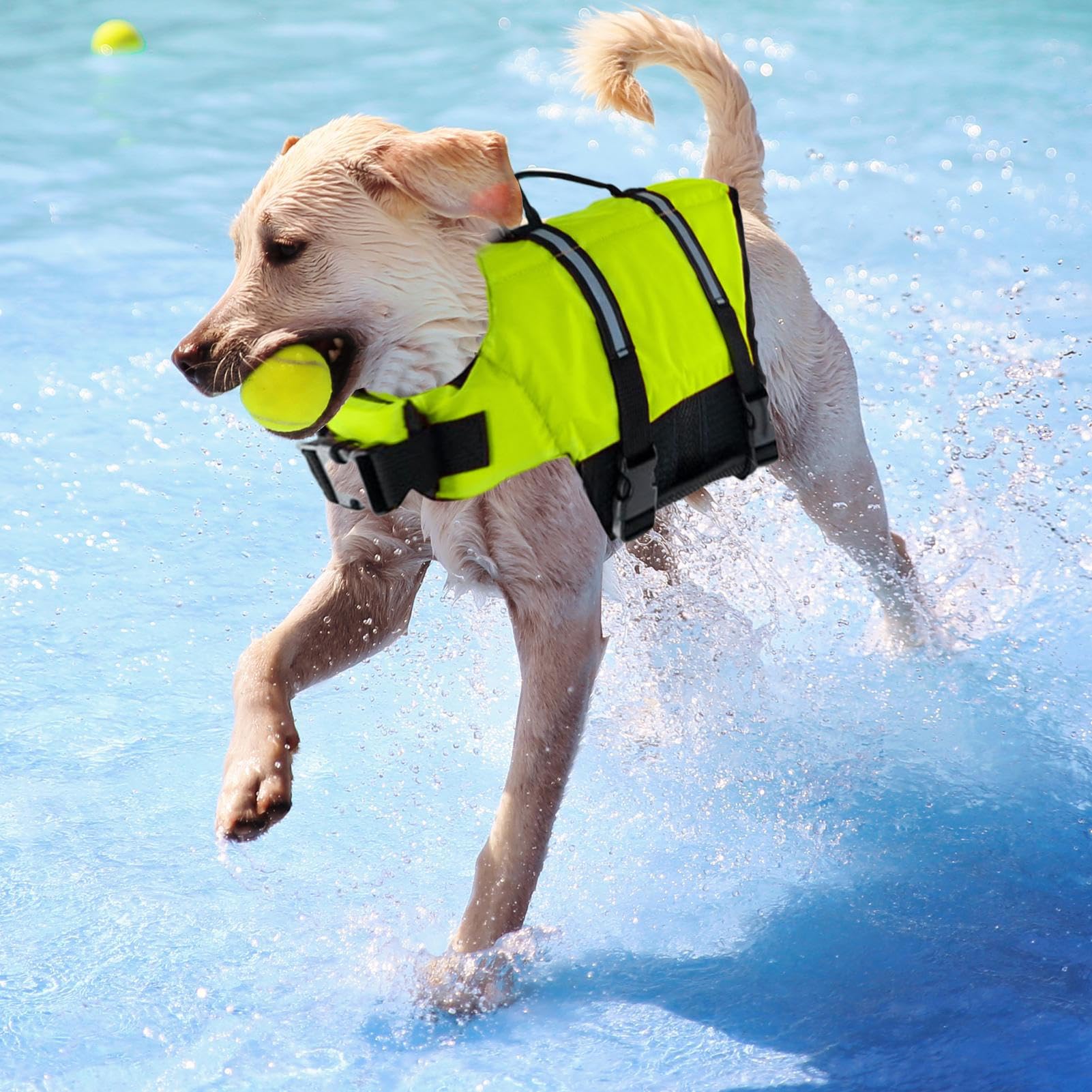 Gilet De Sauvetage Chien Ajustable Confortable Petit Grand Toutes Races | Haute Flottabilité Réfléchissant Veste Sauvetage Chien Natation Toutes Races Chiot Chien Bateau Plage