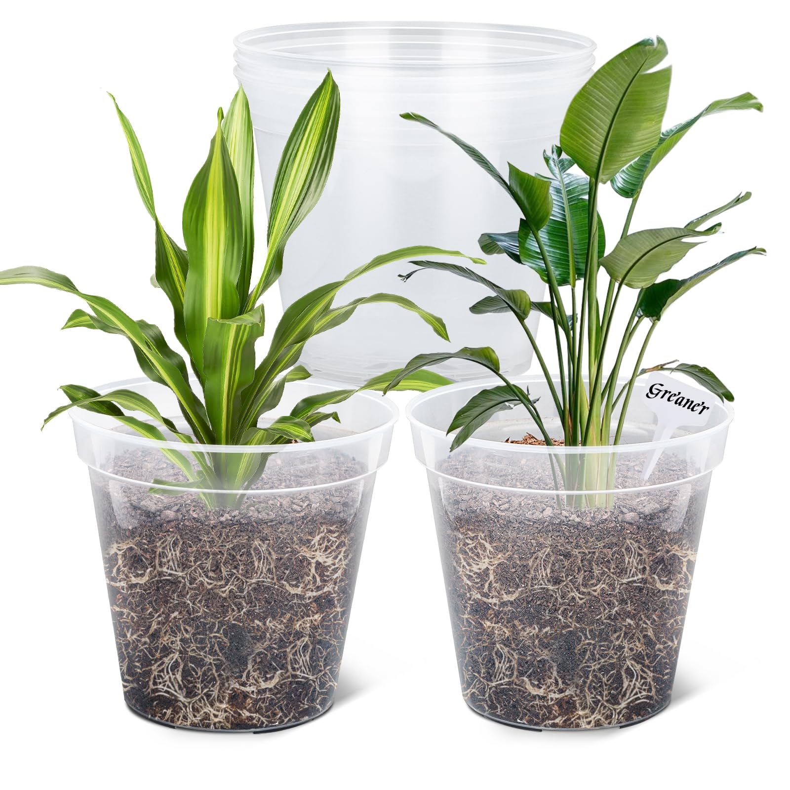 GREANER Clear Plastic Plant Pots, Plastic Planter with Drainage Holes, Nursery Pots for Indoor Outdoor with 20 Plant Labels, 12 Inch(Pack of 5)