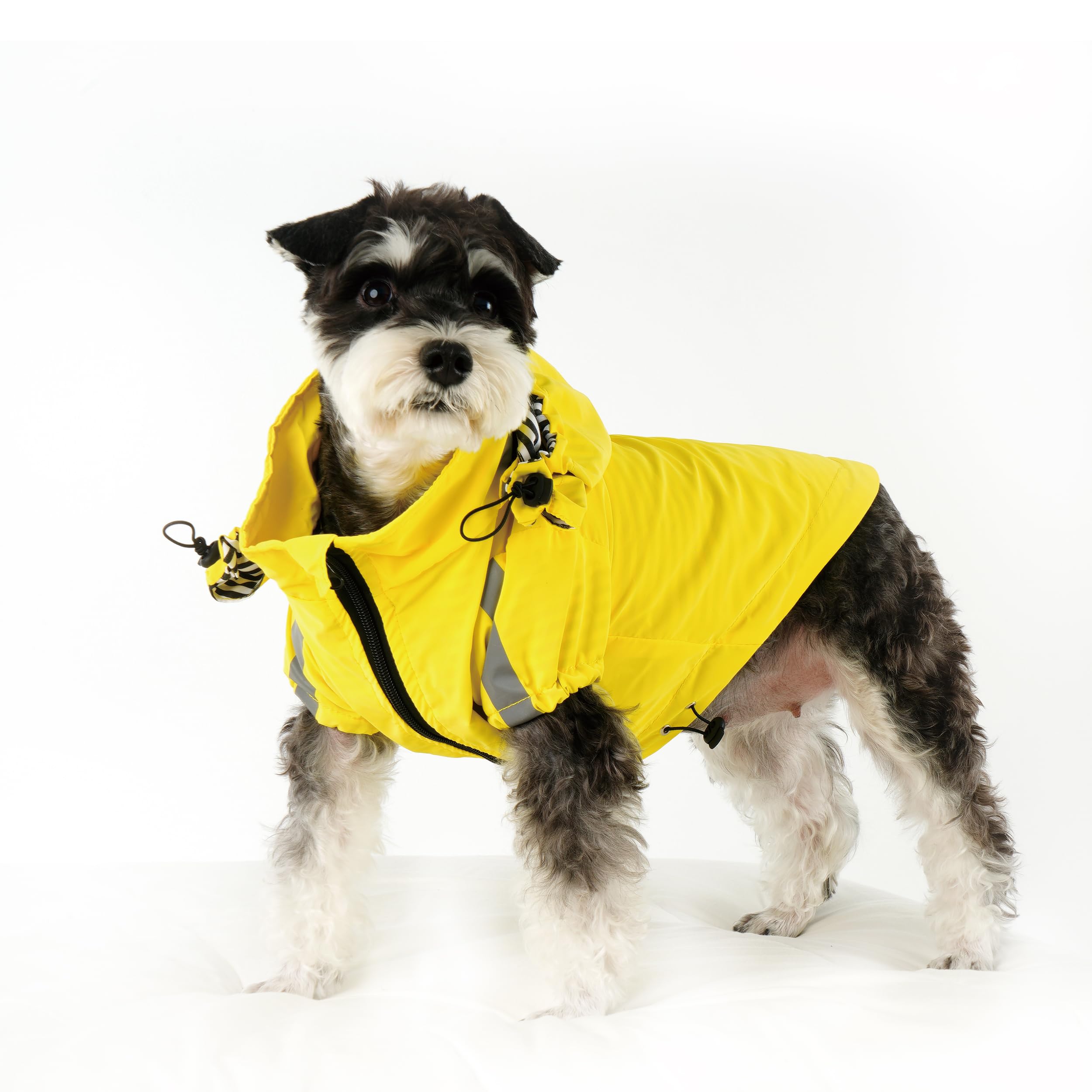 Photo 1 of OKpangcho Breathable Dog wethercoat with Detachable Hood - Reflective Strips, 6 (S-XXXL) - Fashion and Wind Resistant(Yellow,L) Yellow Large