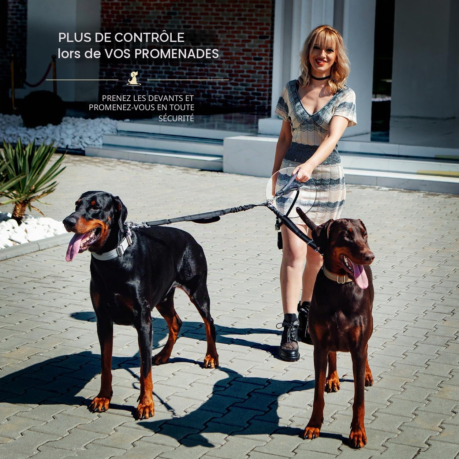Laisse Double de qualité supérieure pour Deux Chiens - Absorption des Chocs et Anti-Traction - Double Laisse pour Chiens de Taille Moyenne et Grande avec Double Attache réglable pour 2 Chiens