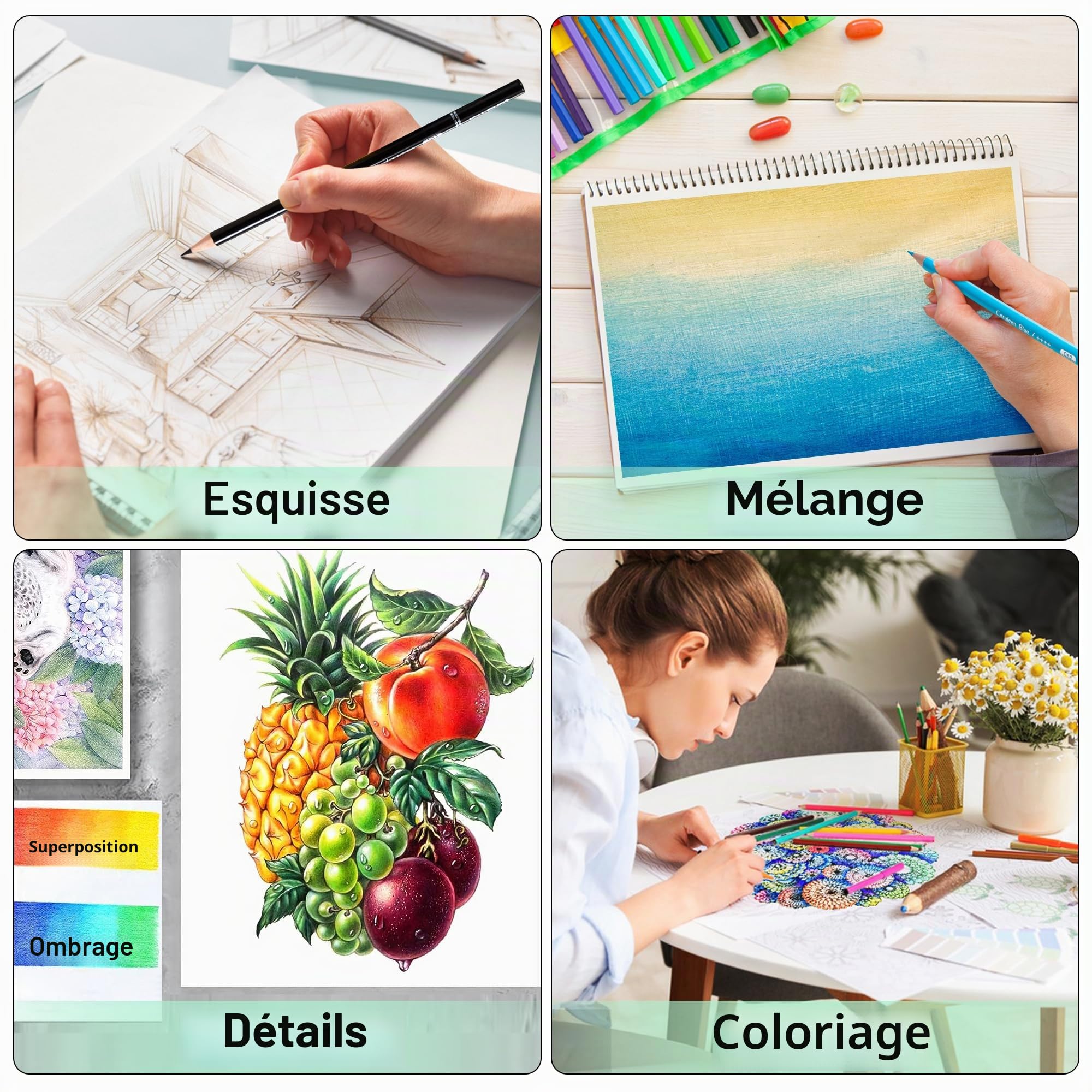 KALOUR Lot de 256 crayons de couleur pour adultes, crayons à noyau doux pour dessiner des nuances, cadeau pour adultes, artistes débutants