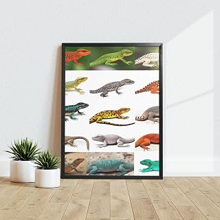 Different Types Of Lizard Canvas Wall Art For Living Room, Modern Prints Paintings Artwork Black Framed Pictures Bathroom Wall Art For Living Room Bedroom Office Wall Decor 12 X 16 Inch