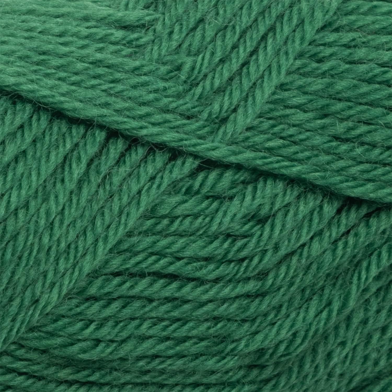Knit Picks Wool of The Andes Worsted Weight Green 100% Wool Yarn Multi Pack (10 Balls - Grass)