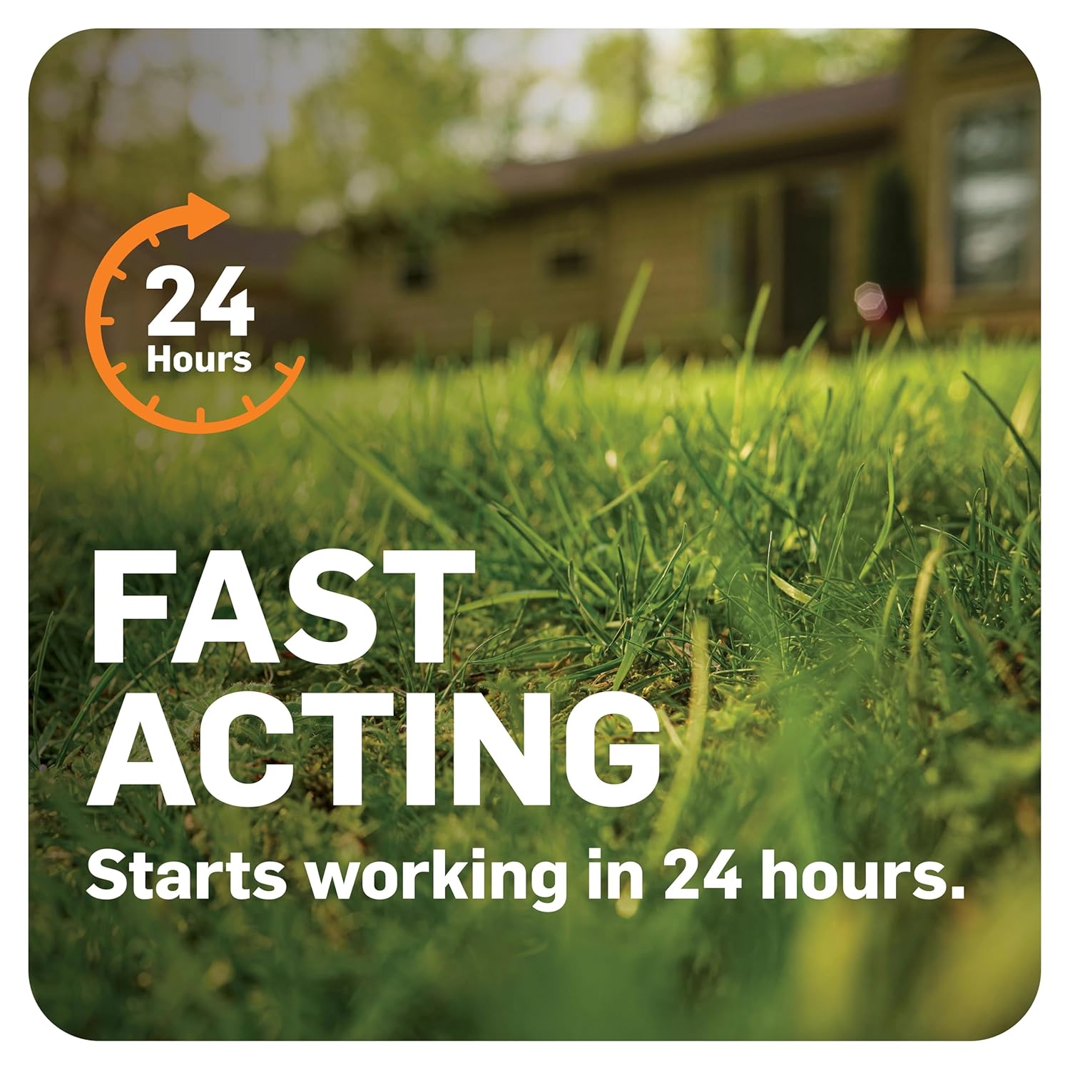 Scotts DiseaseEx Lawn Fungicide for Lawn Care - Controls and Prevents Brown Patch, Pythium Blight and More as Listed, Treats Up to 5,000 sq. ft., 10 lbs.