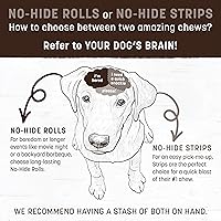 Vista 7 de Earth Animal No Hide - Rollos pequeños para masticar perros de larga duración, carne de res, 2